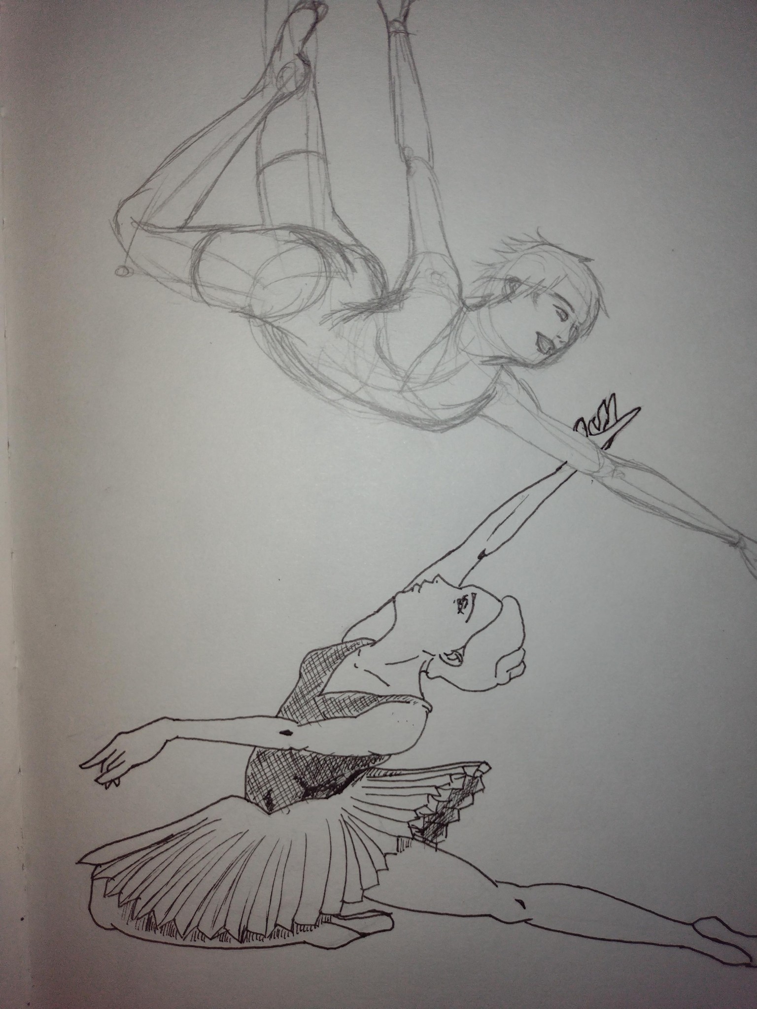 The black Swan - image 3 - student project