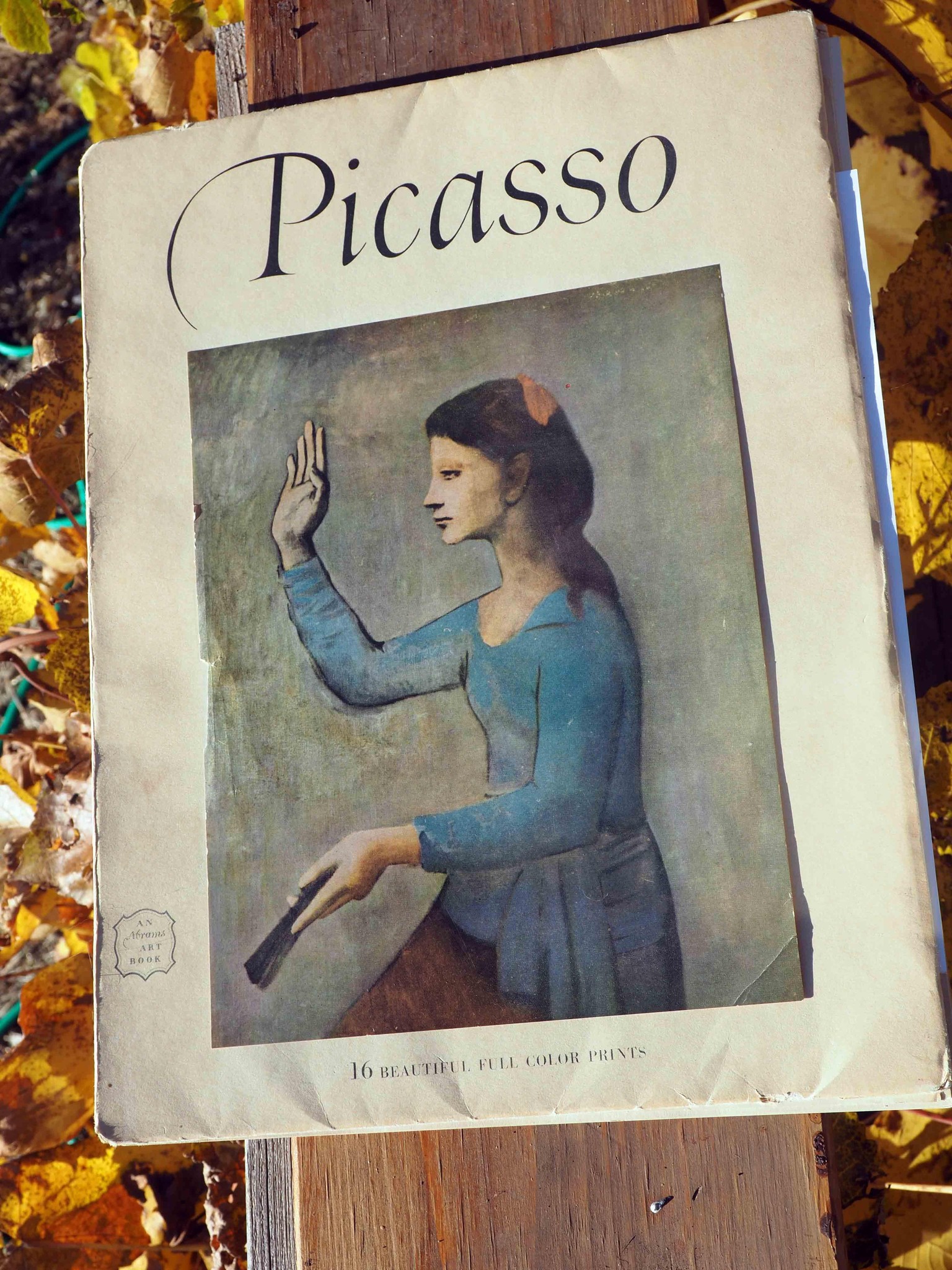 Picasso color studies, prepping for painting - image 6 - student project