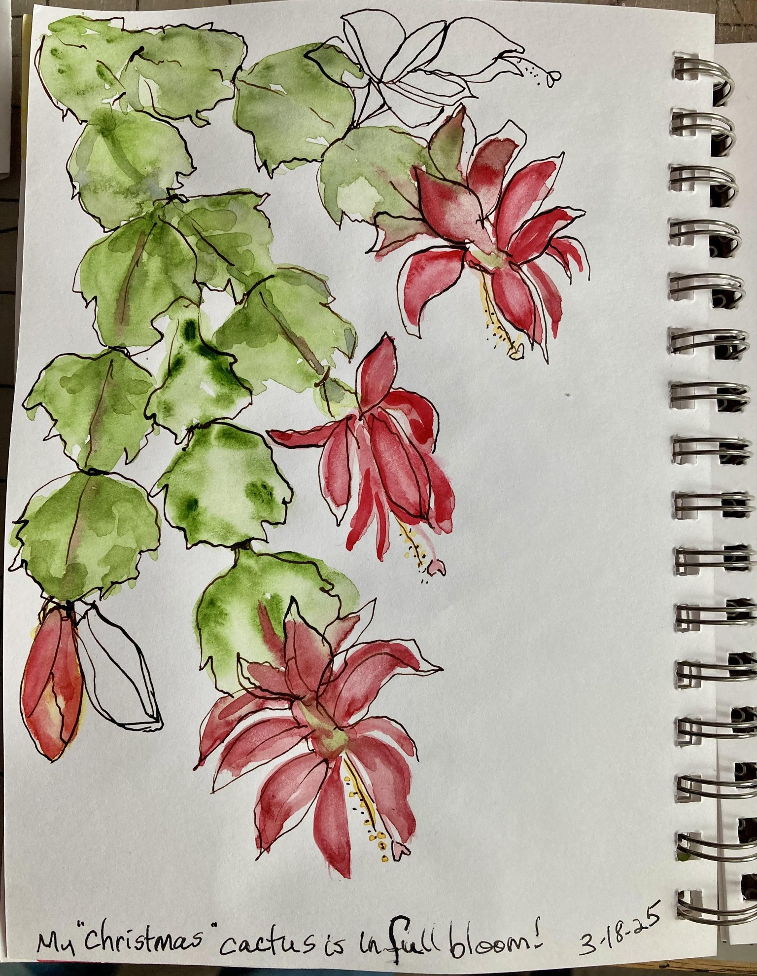 Watercolor florals with pen - image 2 - student project