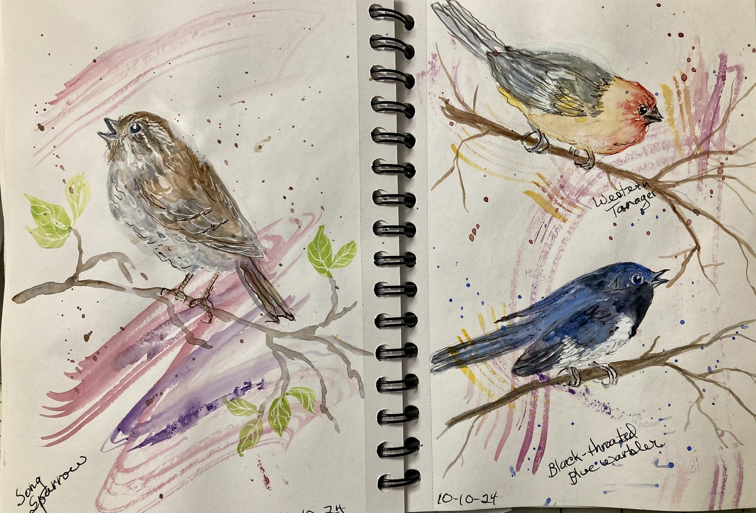 3 birds - image 1 - student project