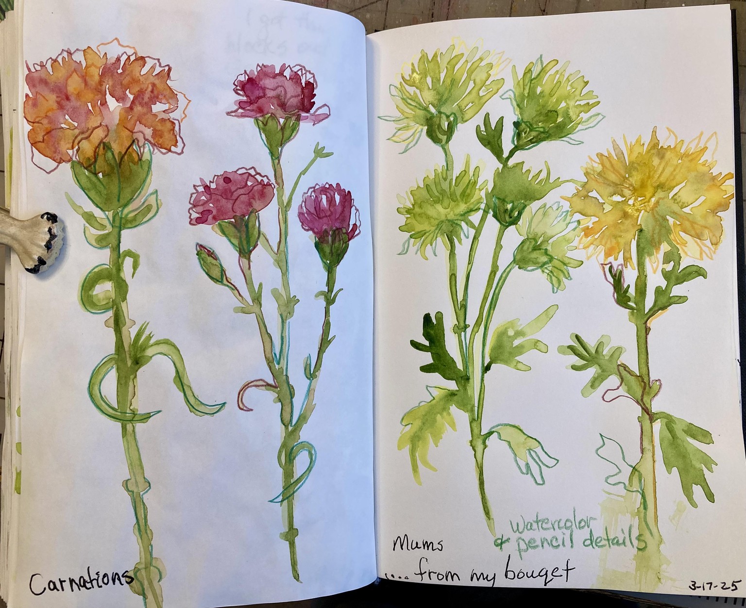 Watercolor florals with pen - image 1 - student project