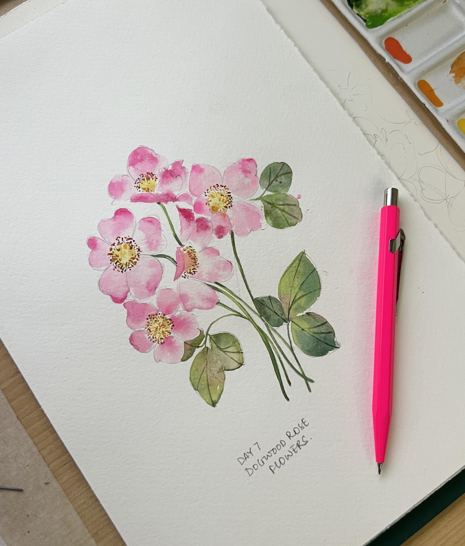 7 Day Creative habit Challenge - image 1 - student project