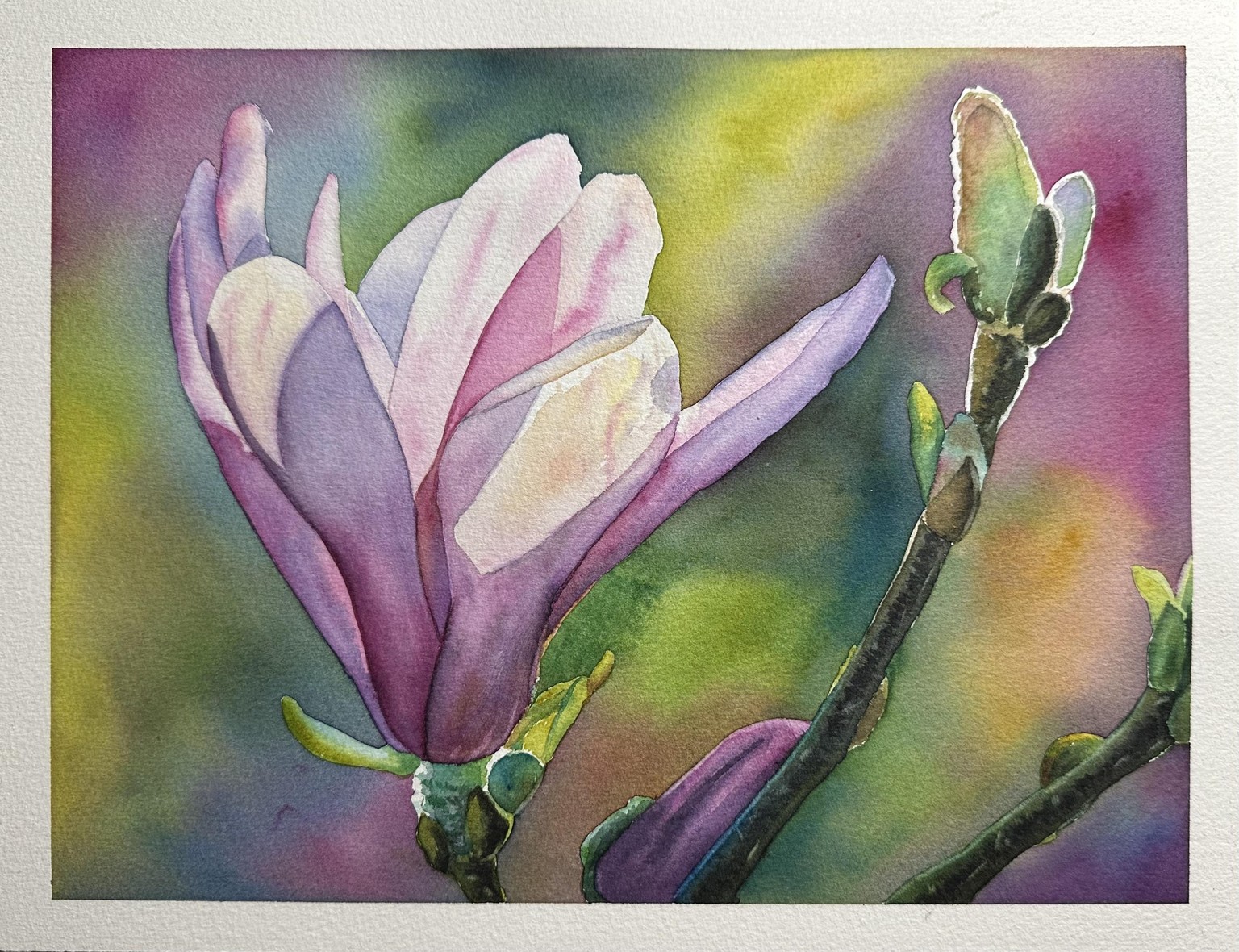 Magnolia - image 1 - student project