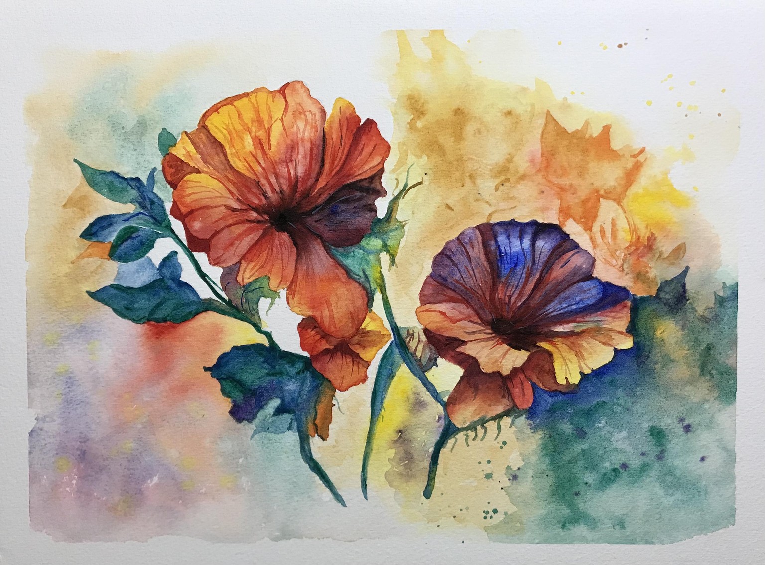 Watercolour flowers - image 1 - student project