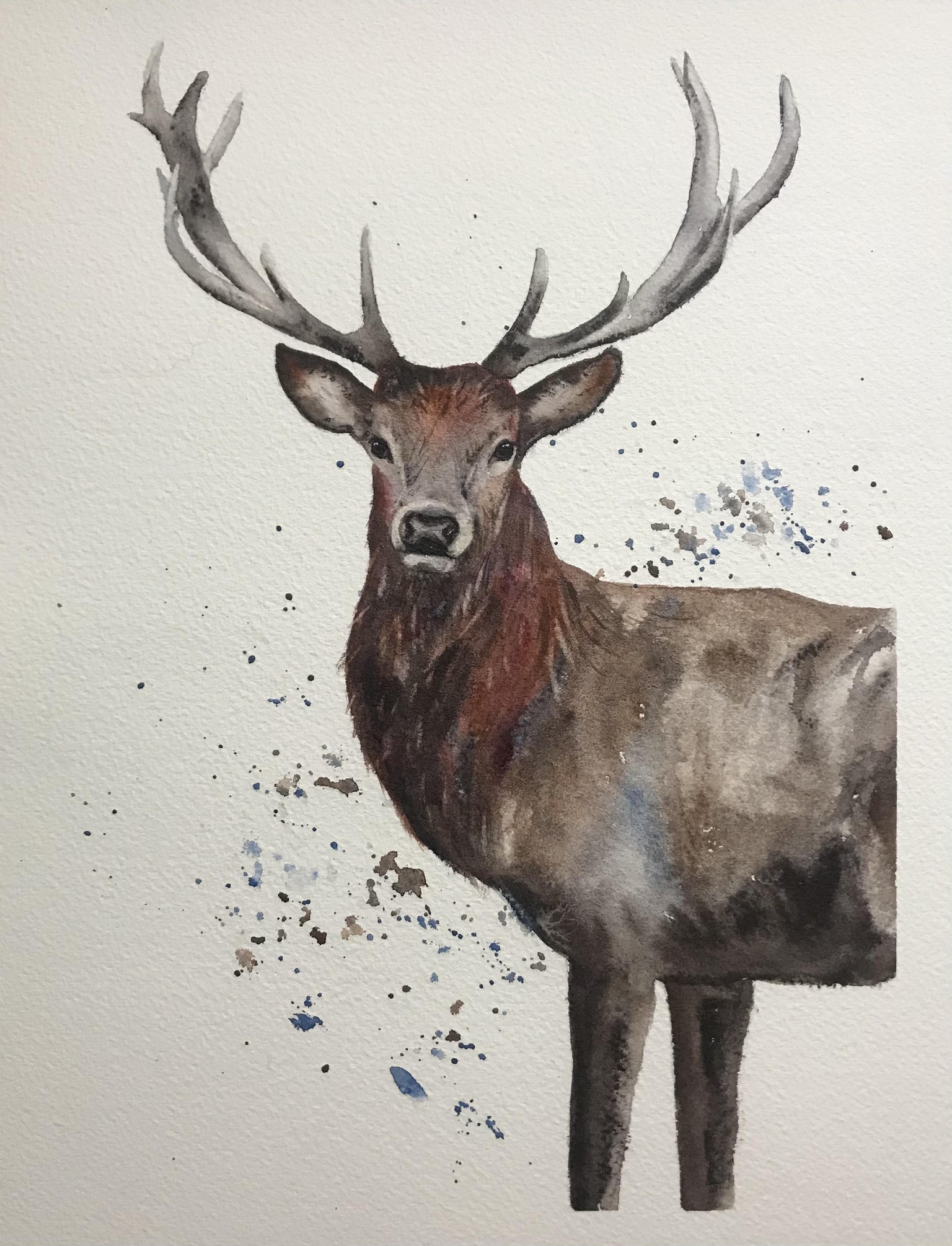 Stag in watercolour - image 1 - student project