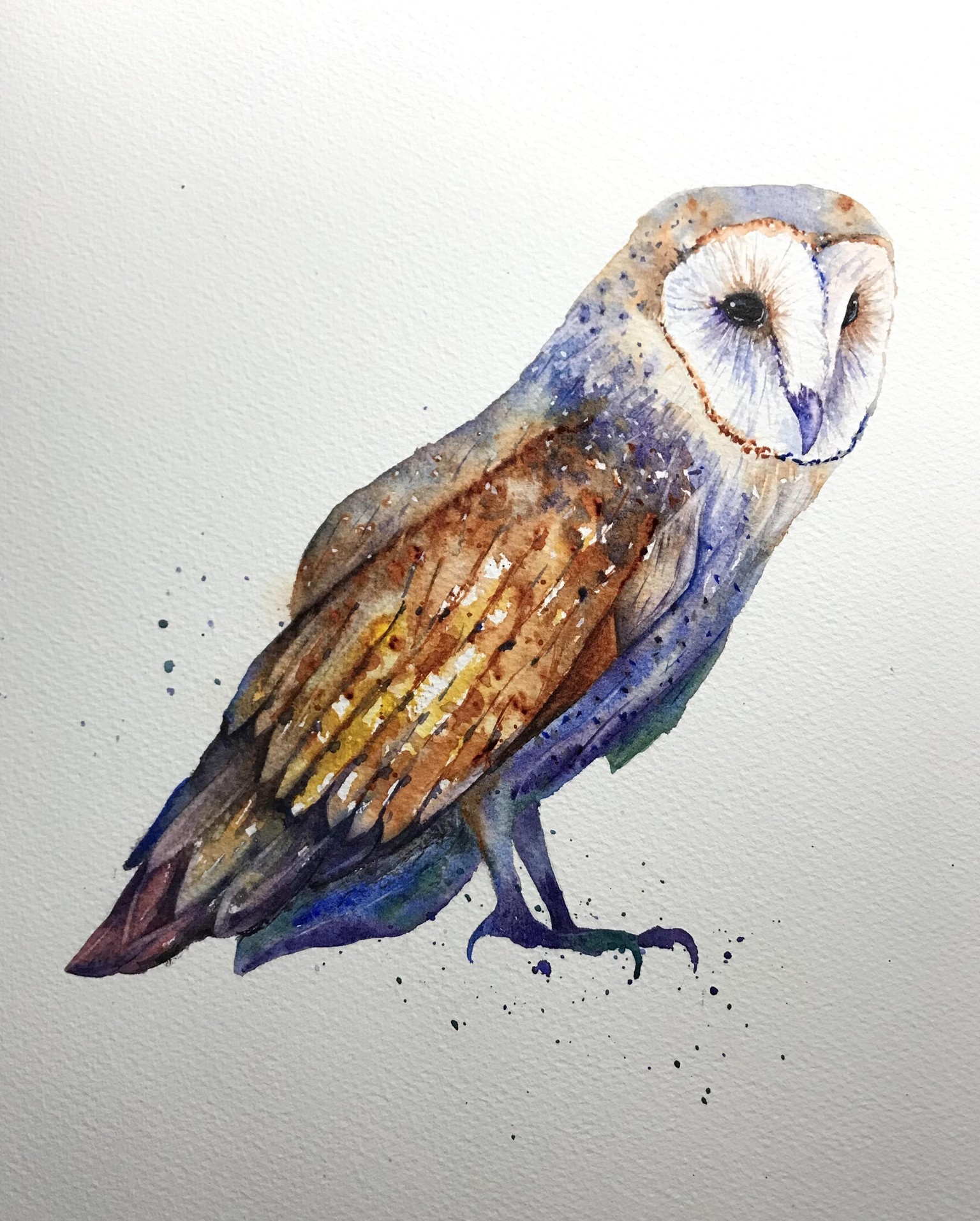 Barn Owl - image 1 - student project