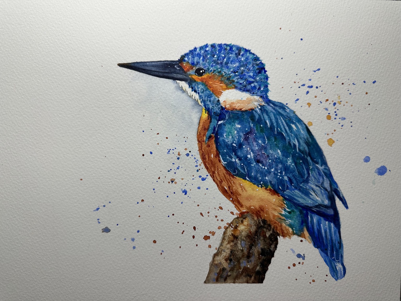 Kingfisher - image 1 - student project