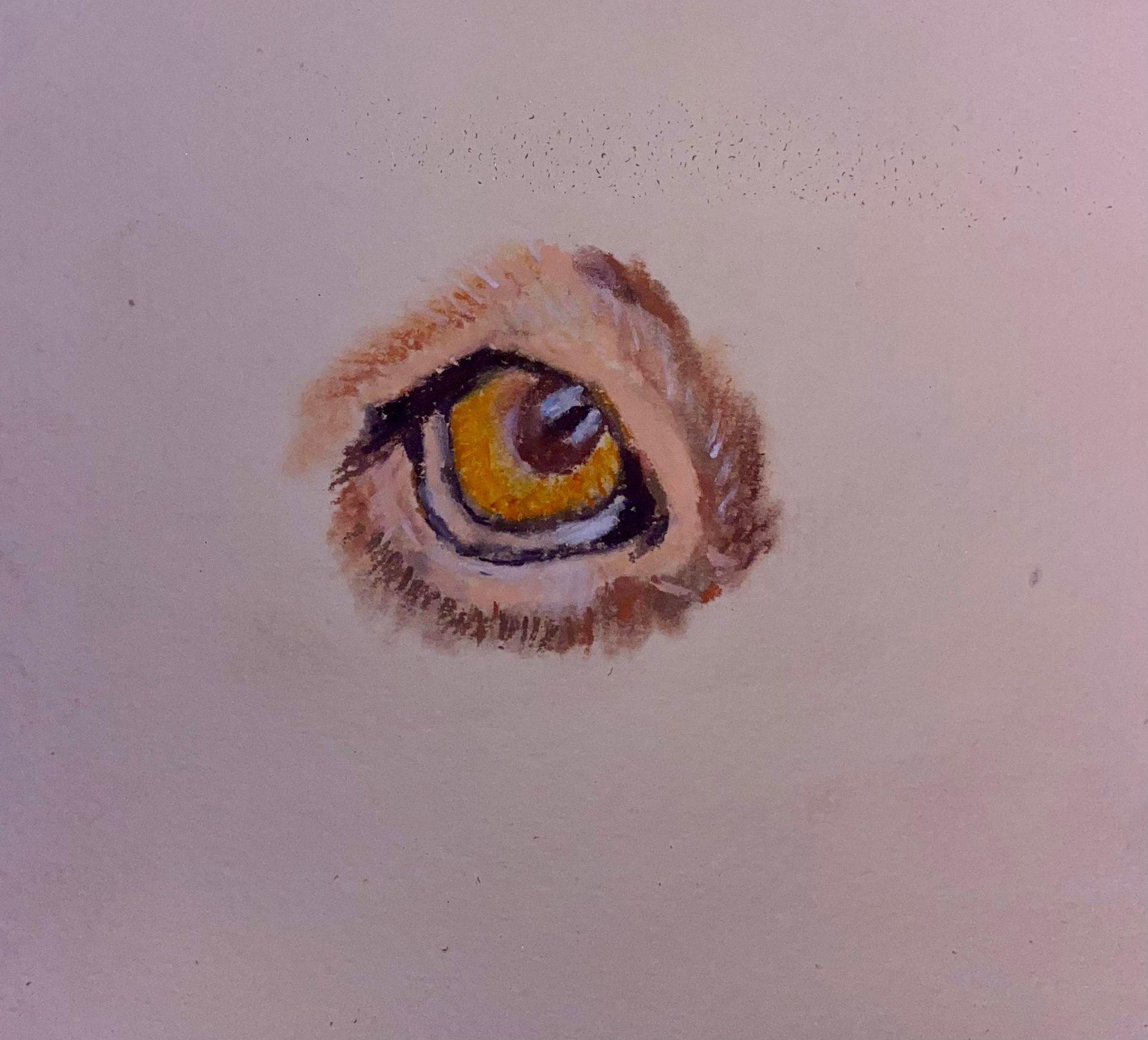 Studies - image 1 - student project
