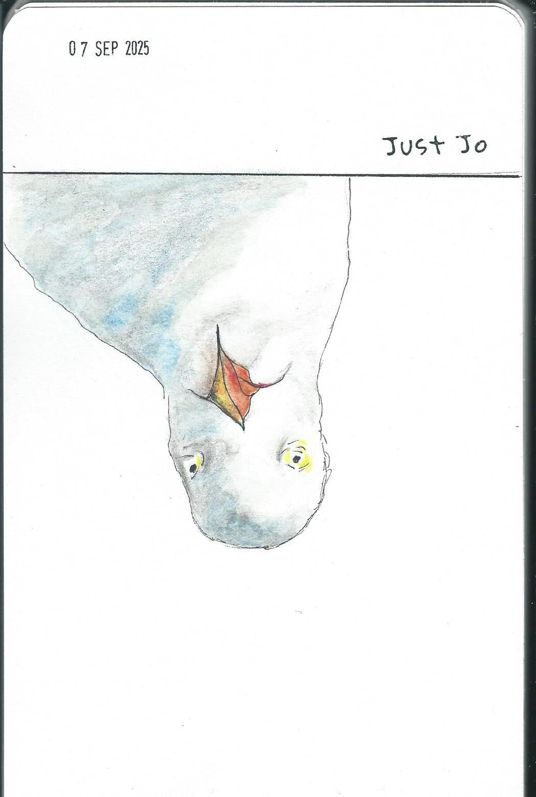 Stephanie, the all singing, all dancing Seagull! - image 2 - student project