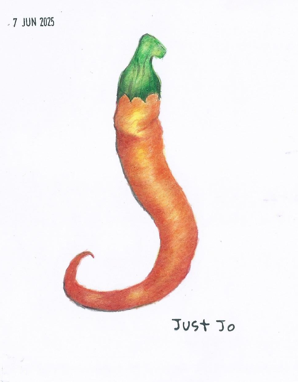 Chilli with coloured pencils. - image 1 - student project