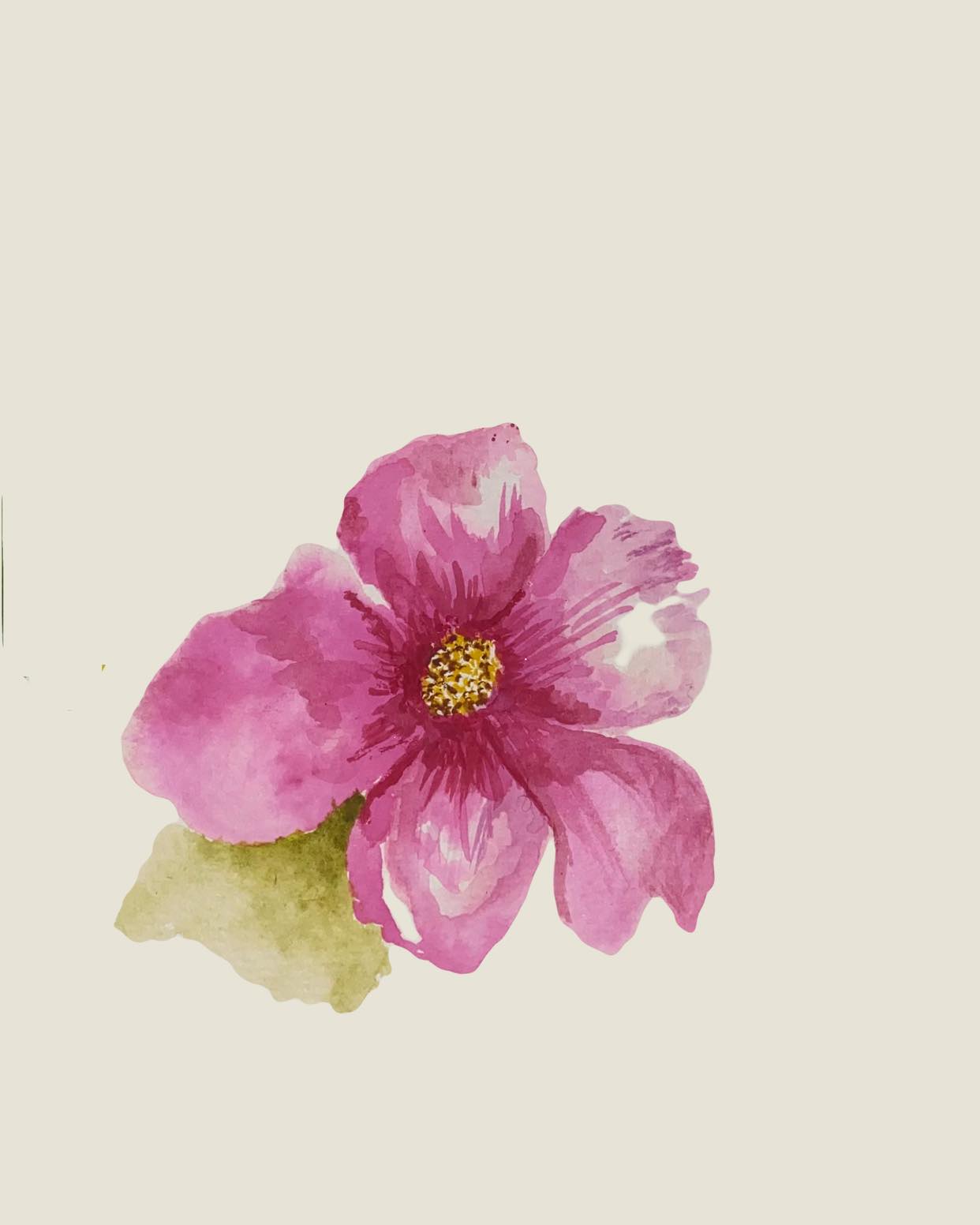 Wild Flowers - image 3 - student project