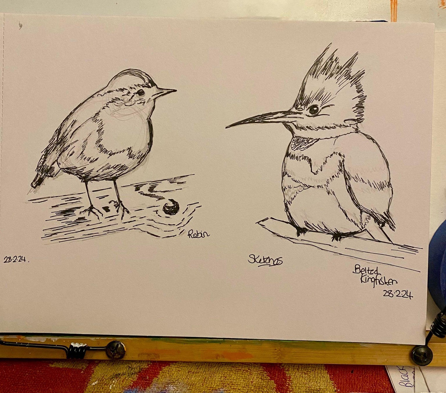 Little Robin - image 2 - student project