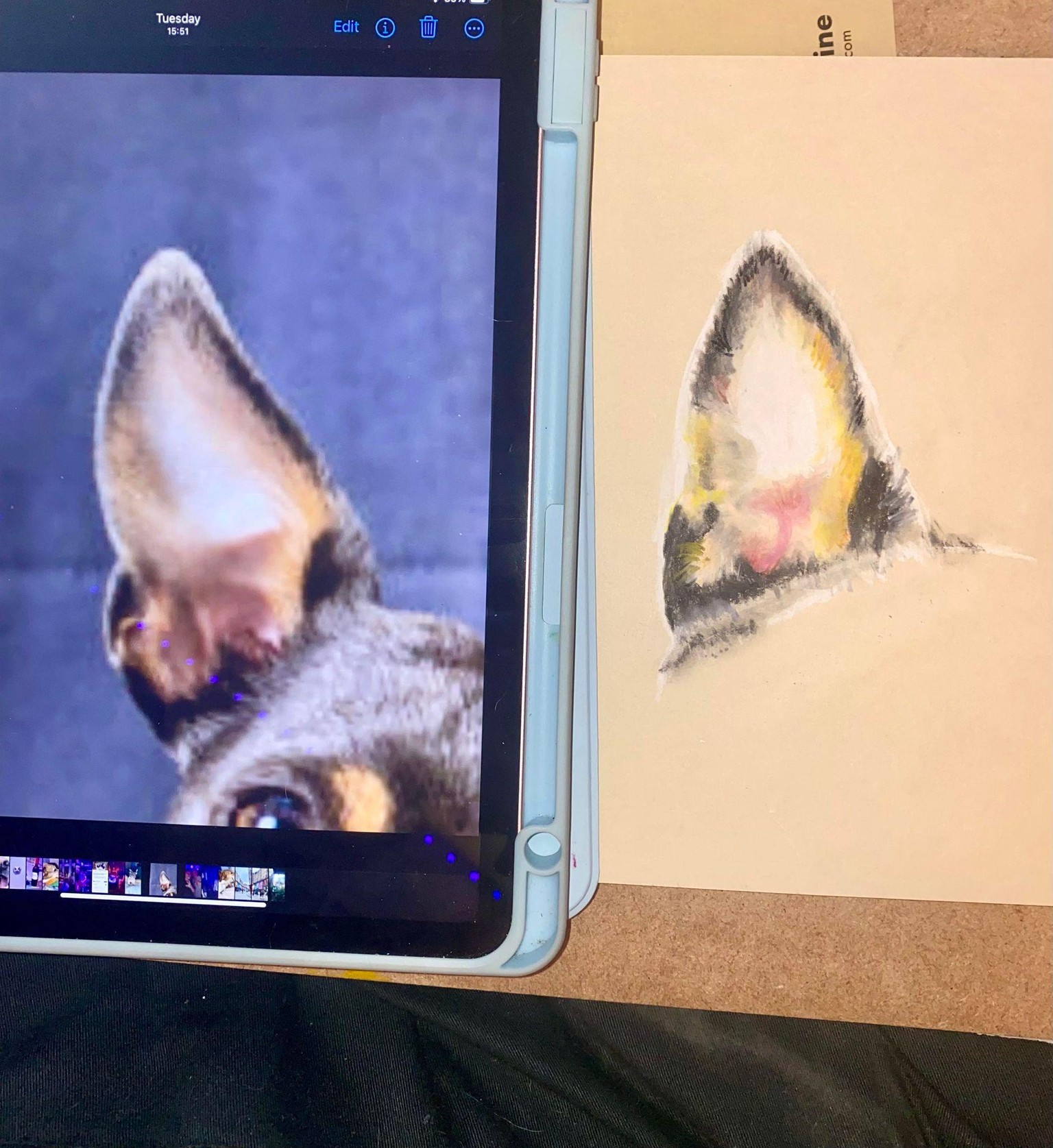 Studies - image 6 - student project