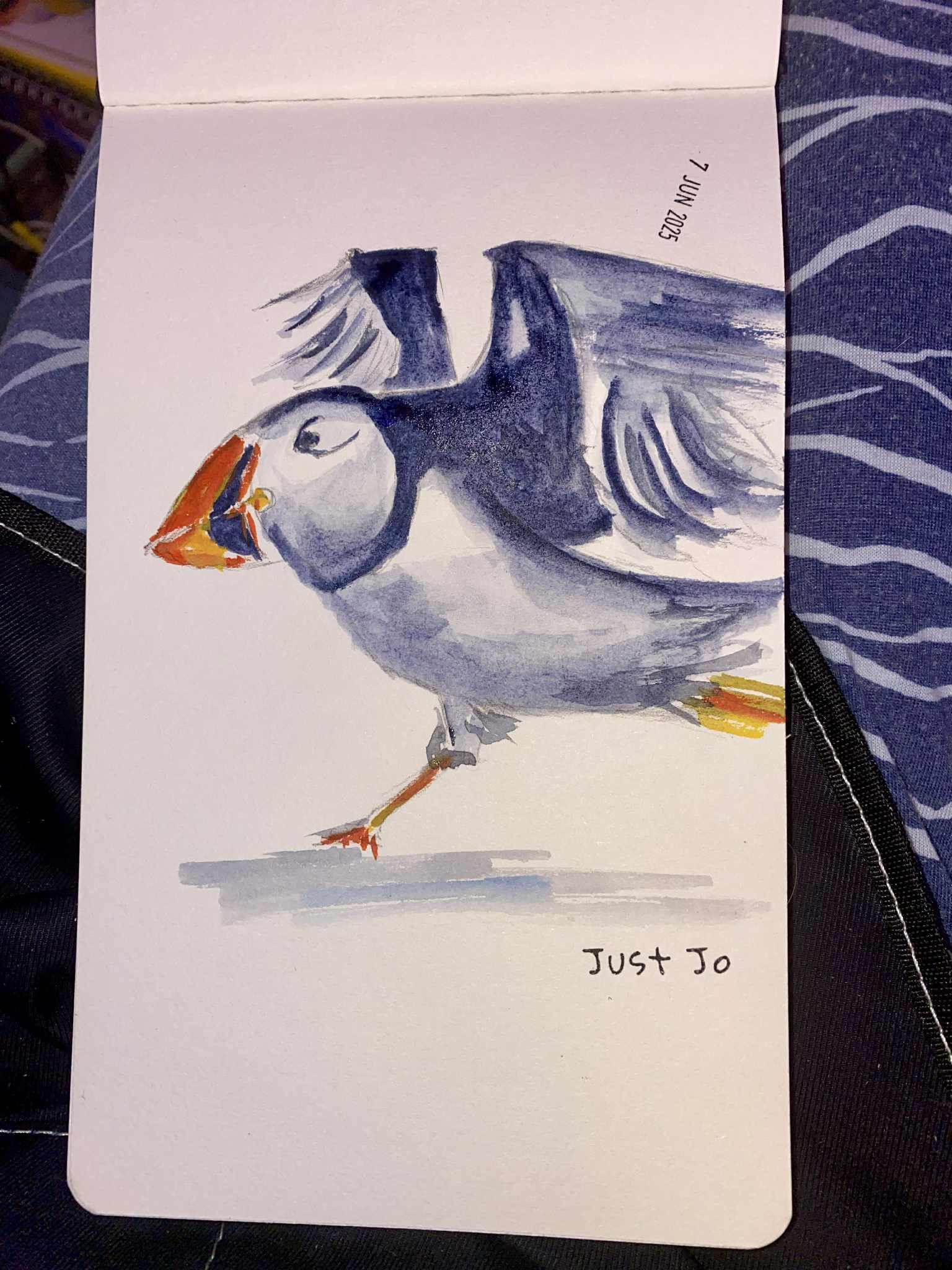 Mr. McMuffin, the Puffin. - image 5 - student project