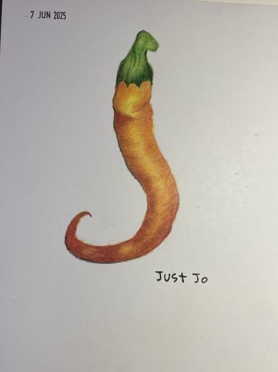 Chilli with coloured pencils. - image 2 - student project