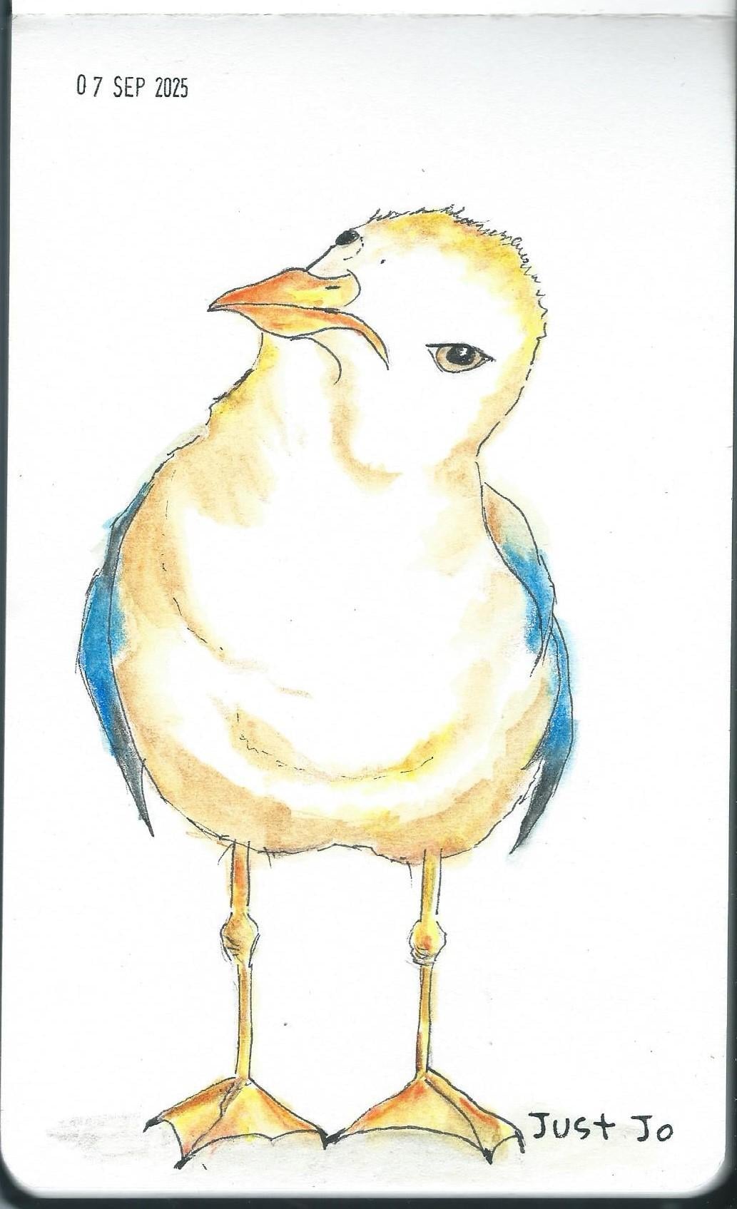 Stephanie, the all singing, all dancing Seagull! - image 1 - student project