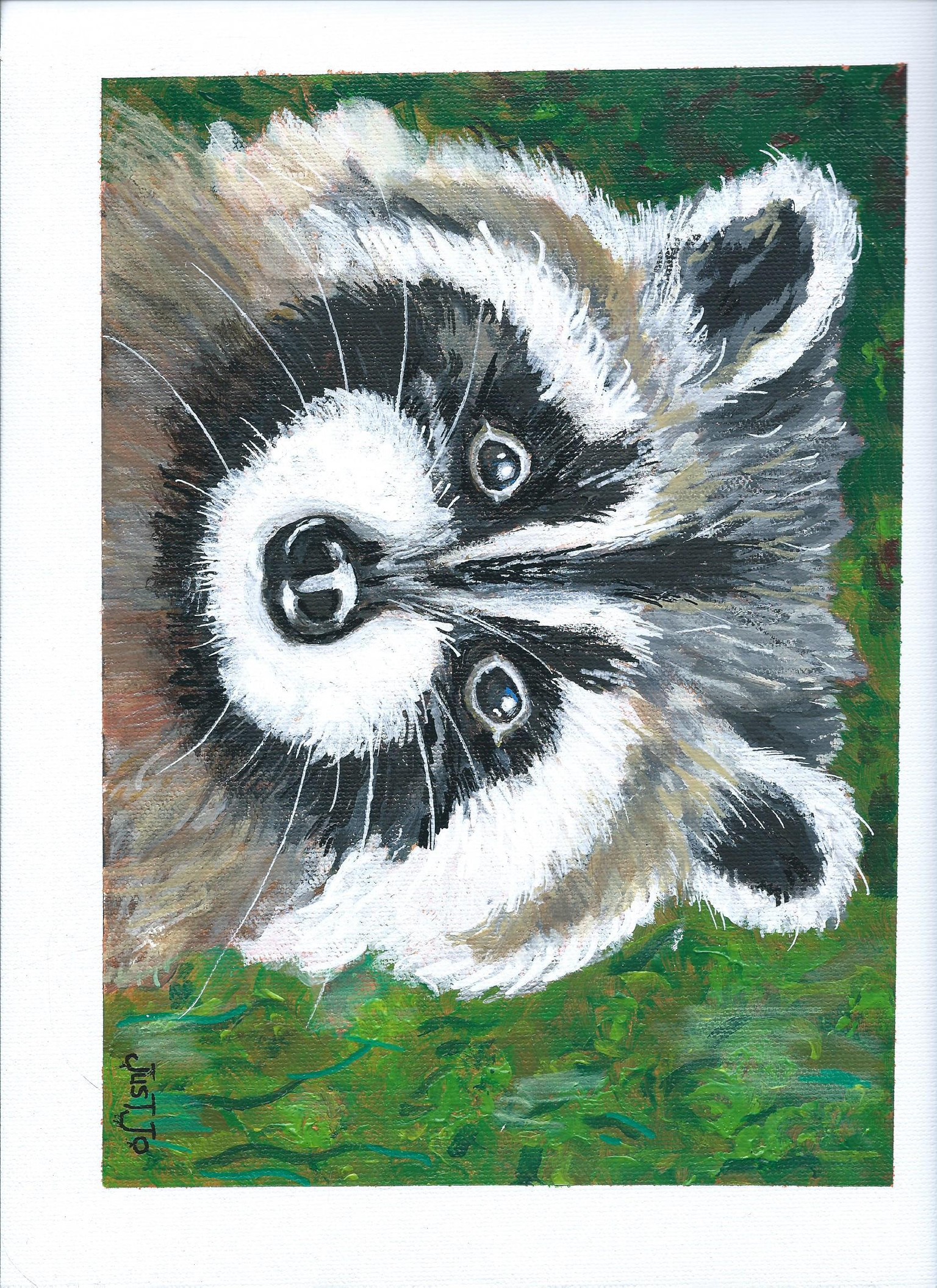 Rocky the Raccoon - image 1 - student project
