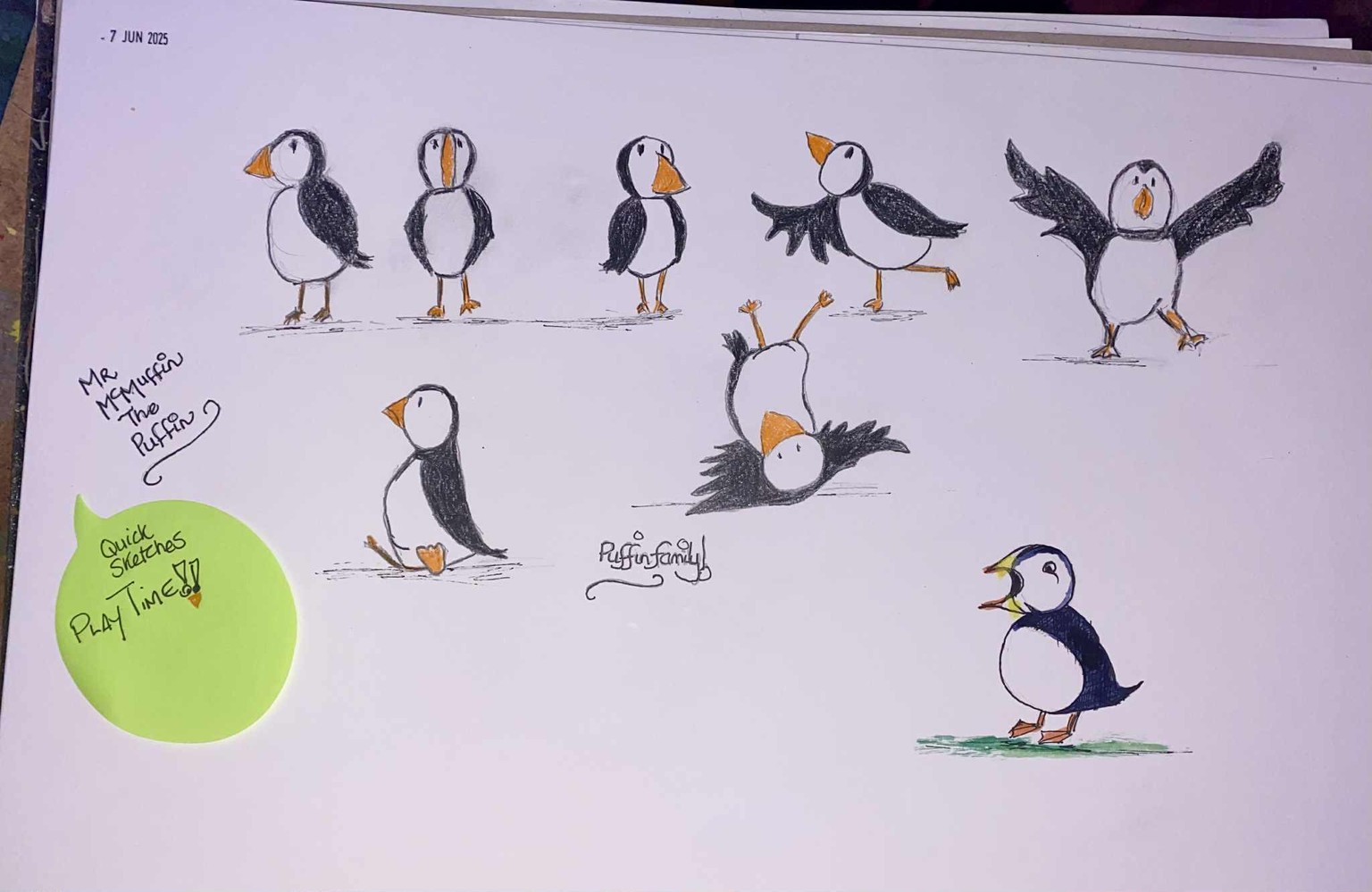Mr. McMuffin, the Puffin. - image 3 - student project