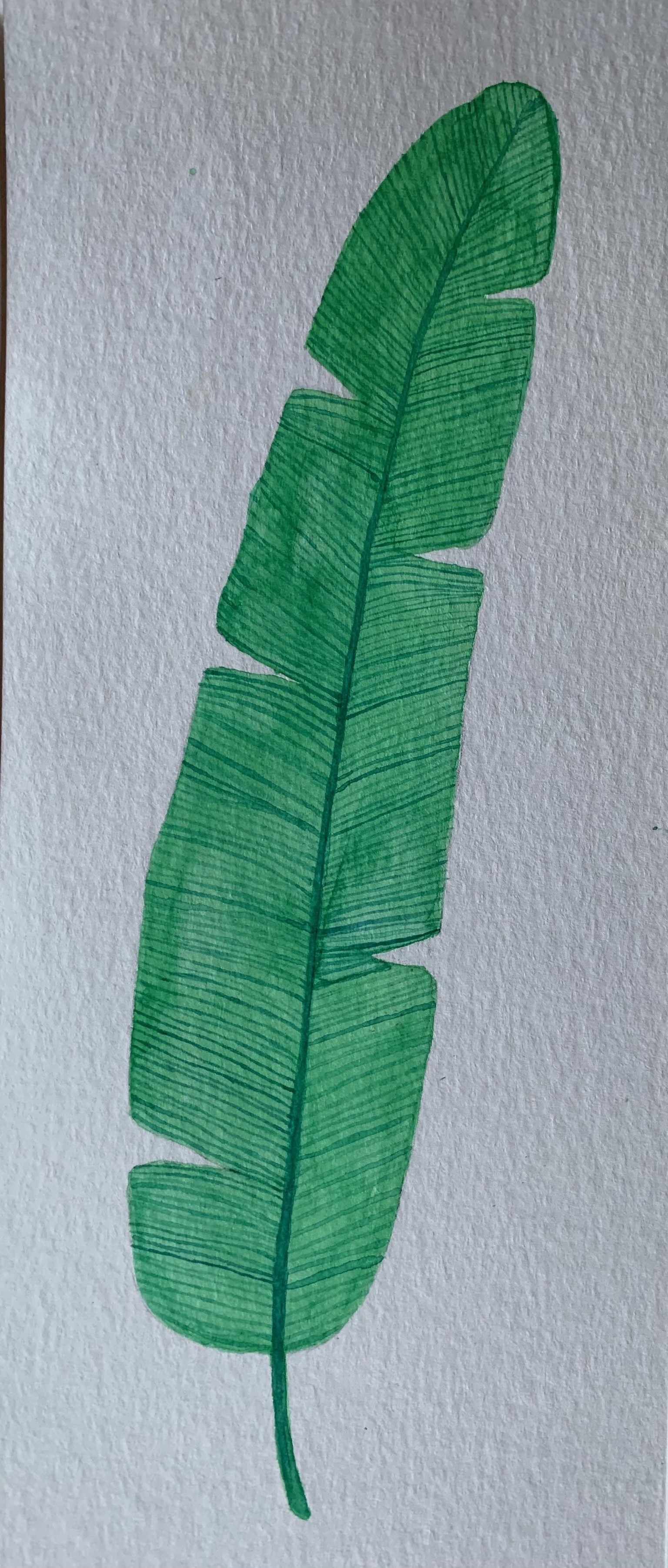 Watercolor Tropical leaves - image 2 - student project