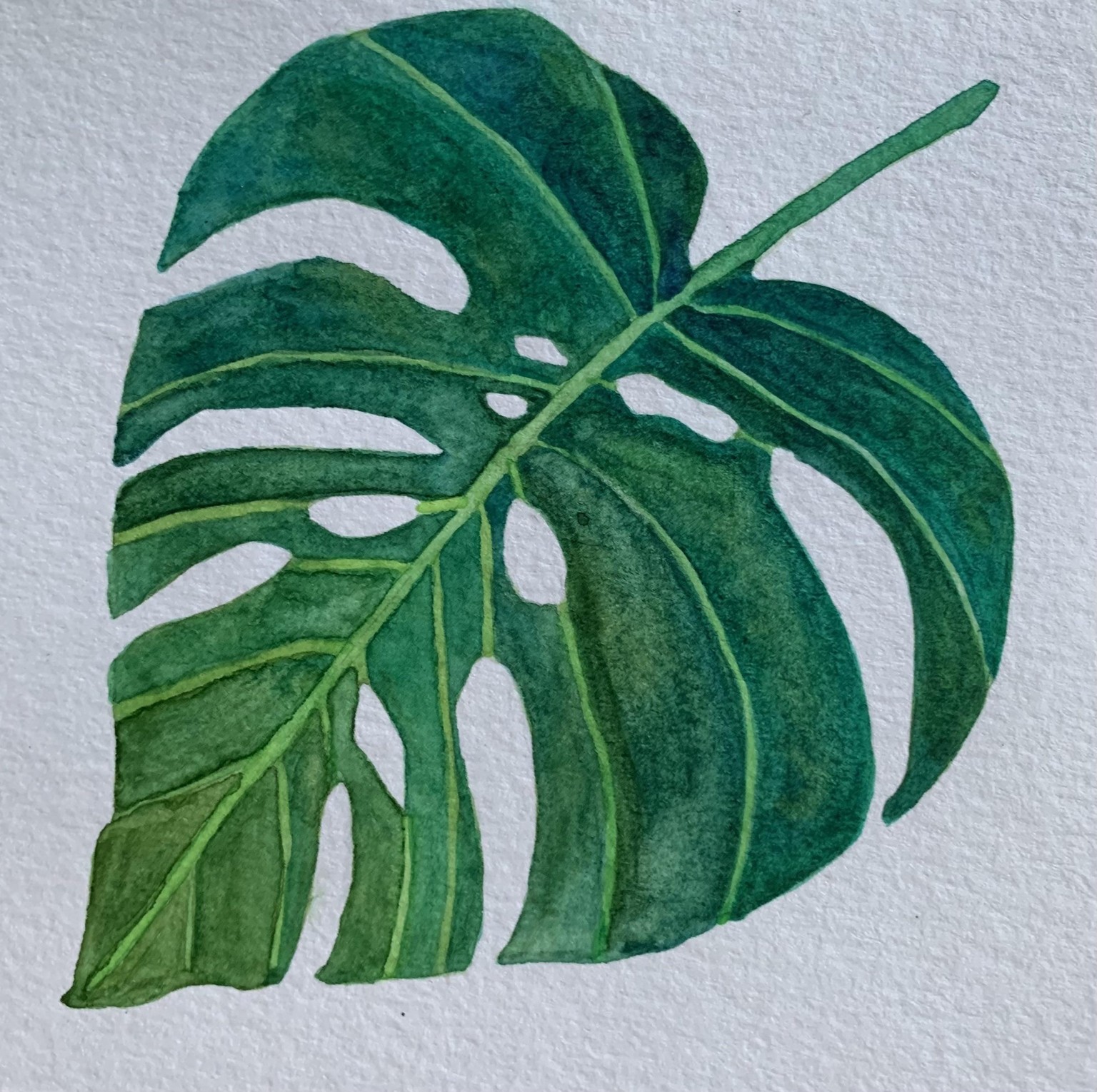 Watercolor Tropical leaves - image 1 - student project