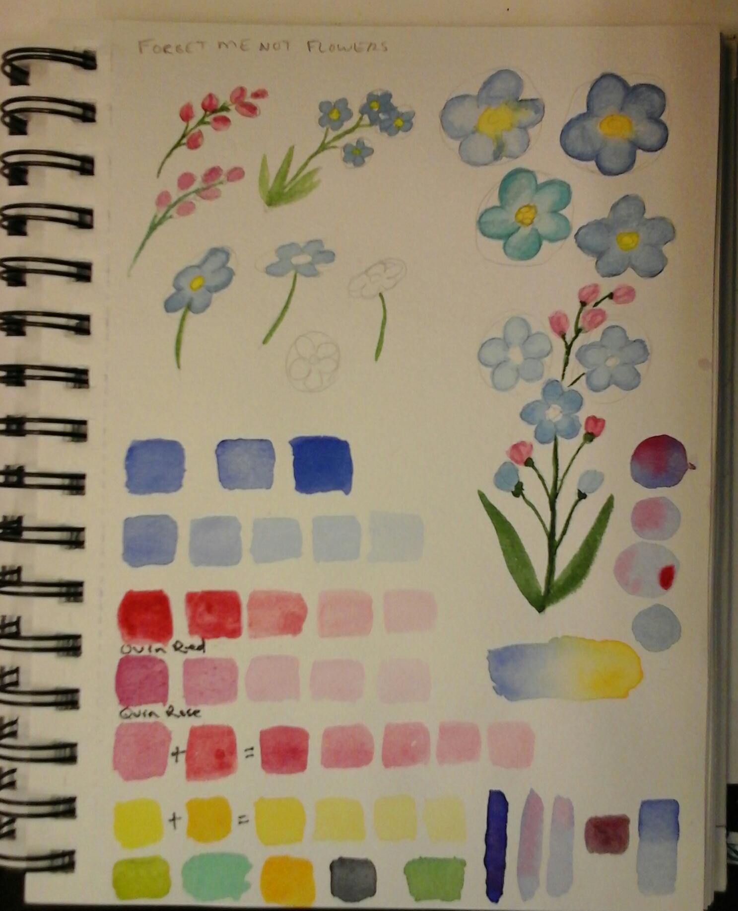 Eugenias Forget me nots practice - image 2 - student project