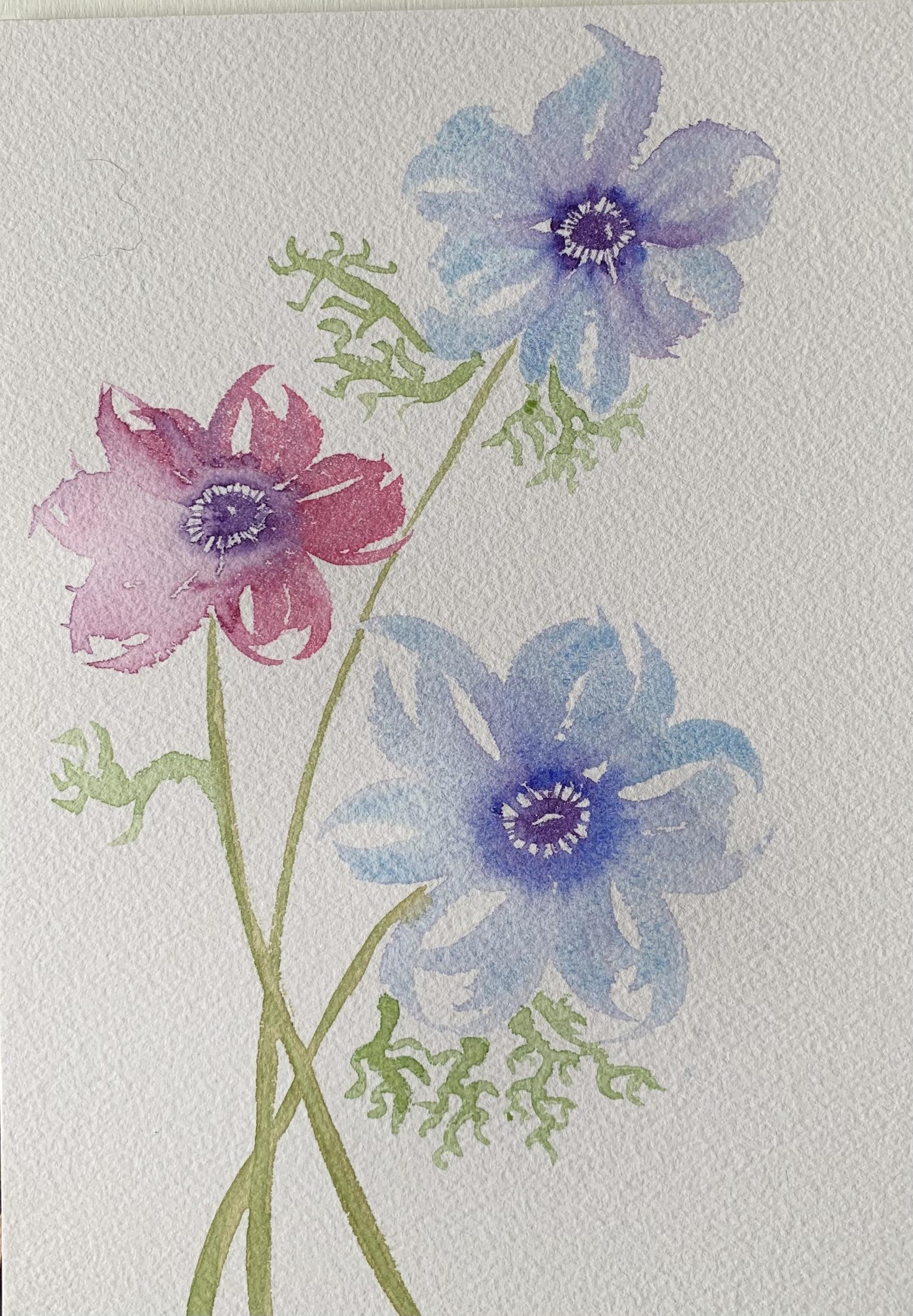Practice flowers… - image 1 - student project