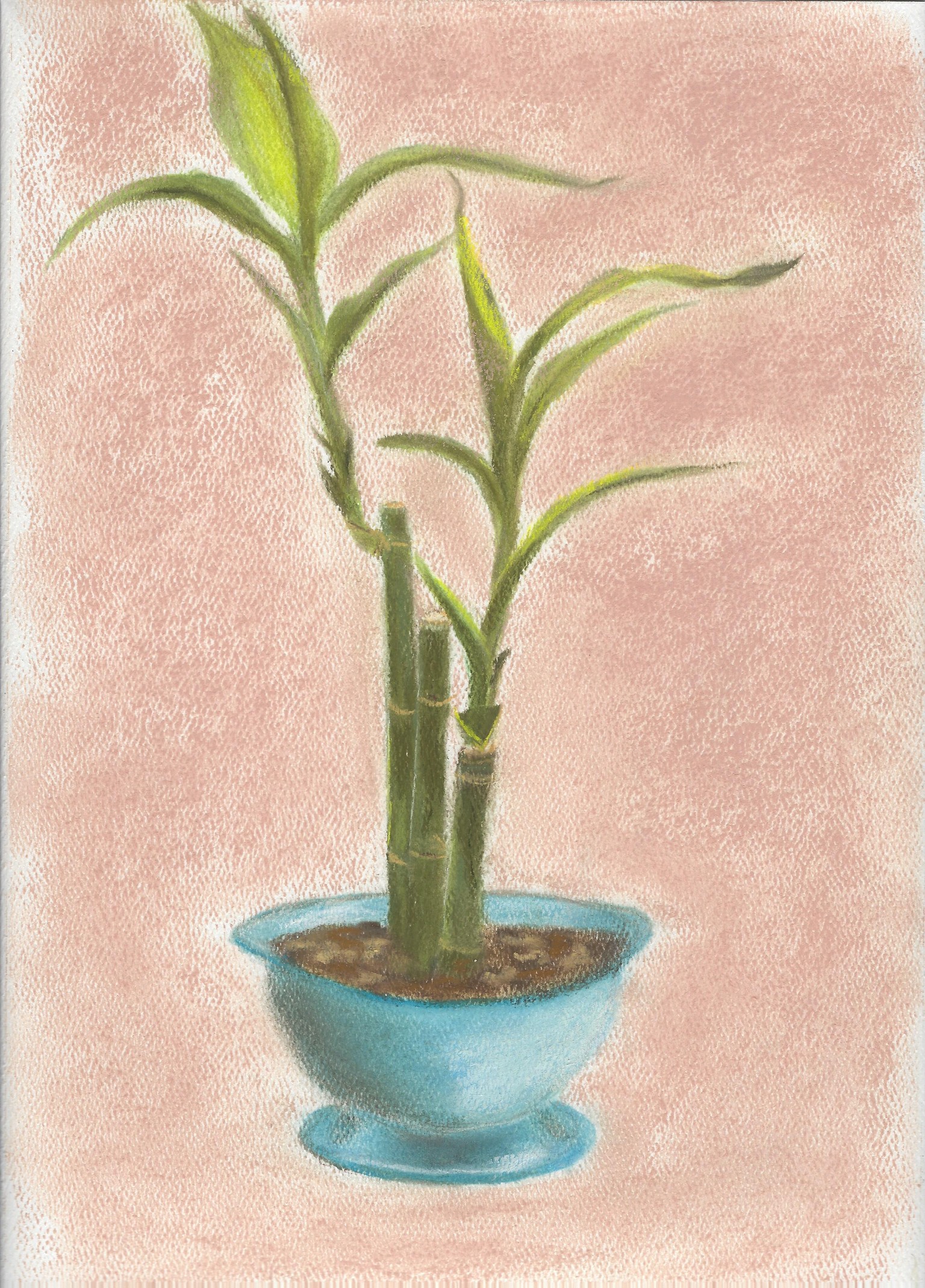 Bamboo in Blue - image 1 - student project