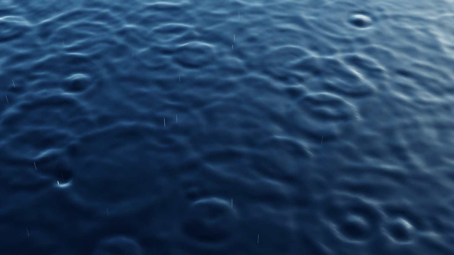 wow! thank you! - image 3 - student project