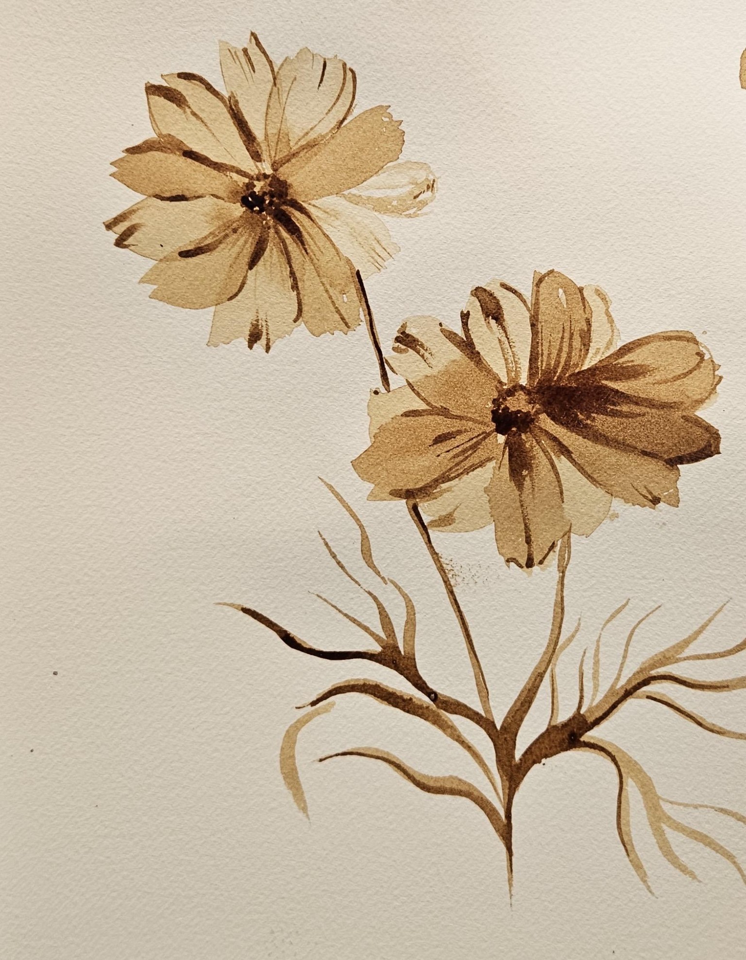 Cosmos with coffee - image 1 - student project