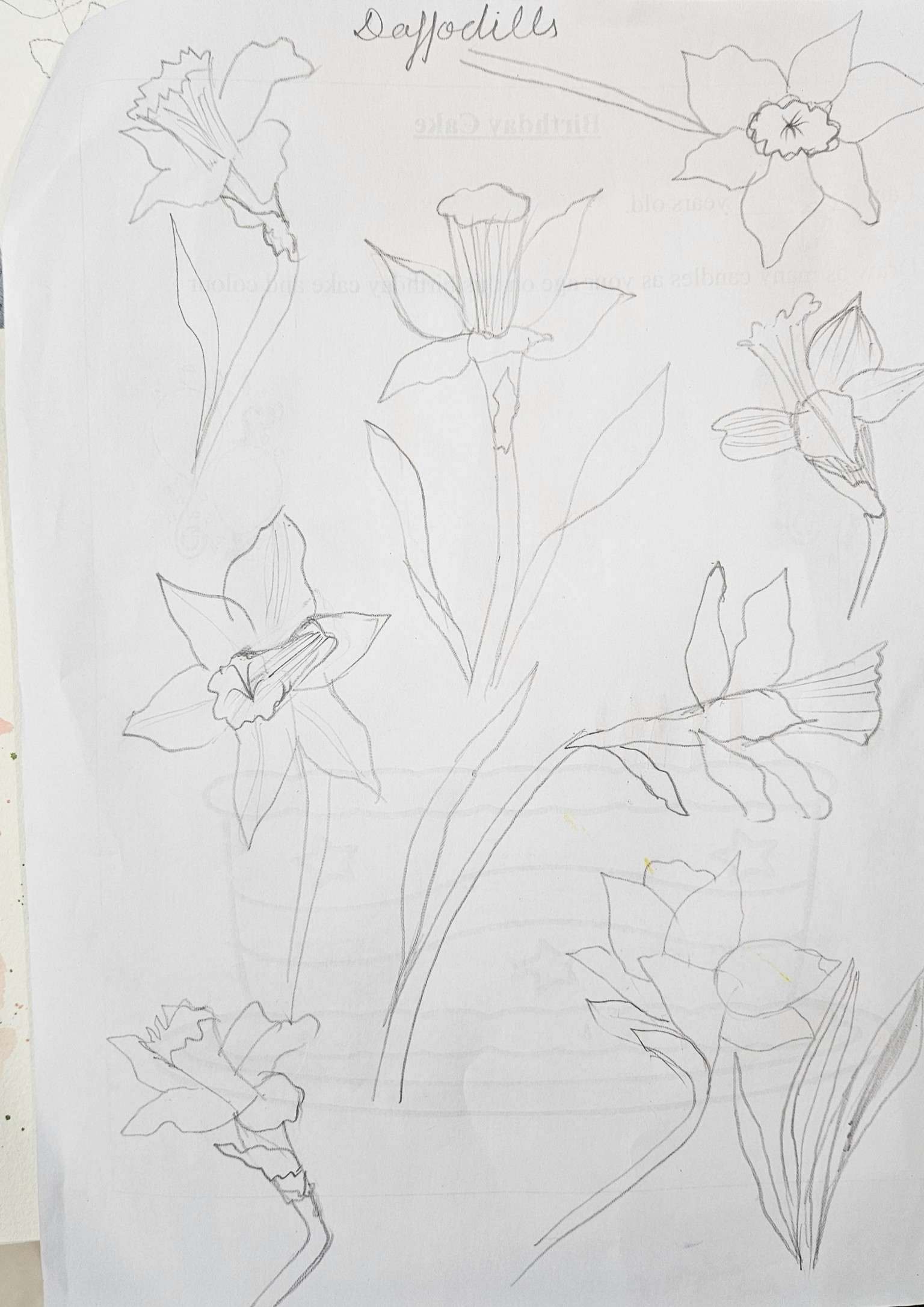 Botanical from live references - image 5 - student project