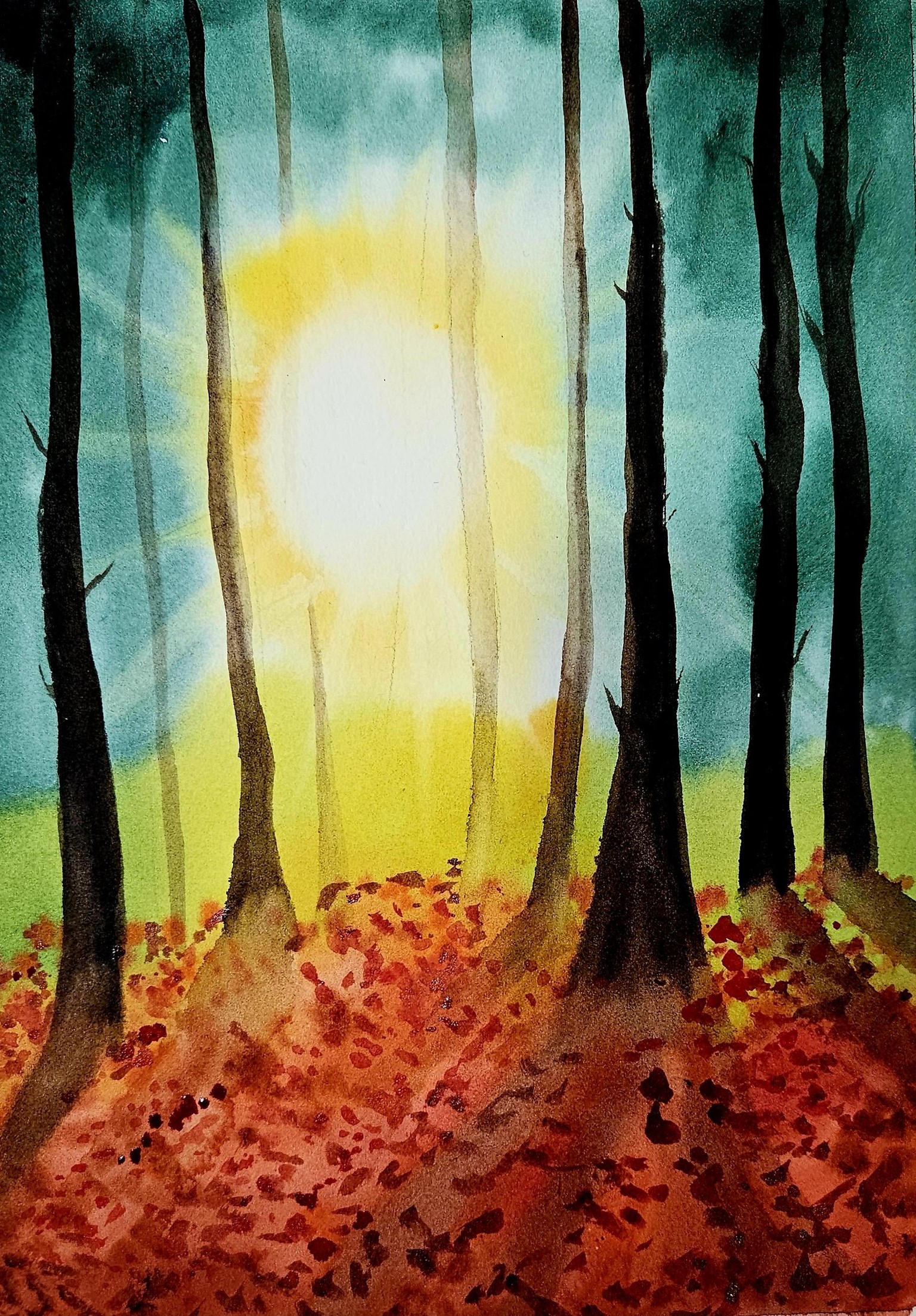 Autumn light in the woods - image 1 - student project