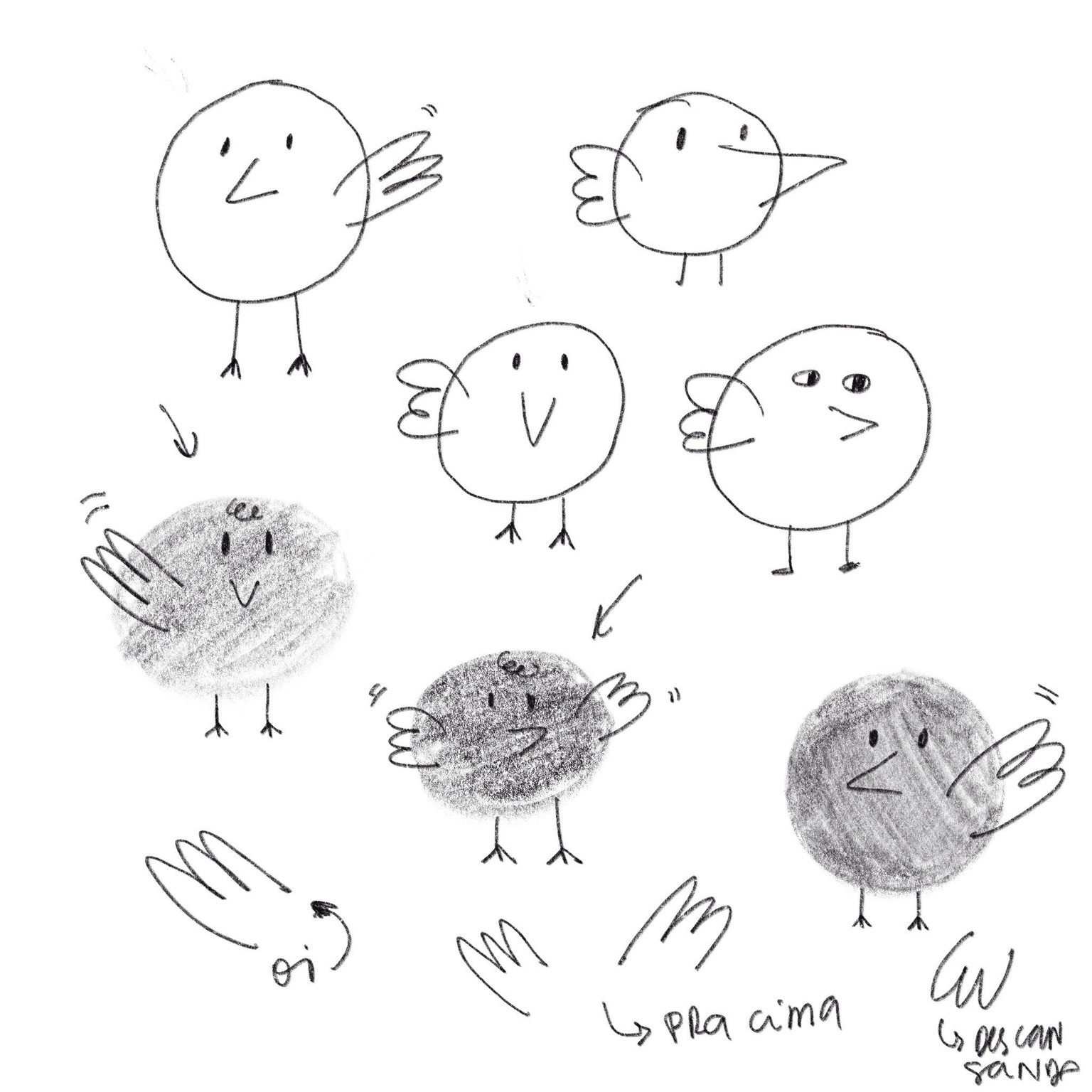 Brand Illustration:  bird watching app - image 1 - student project