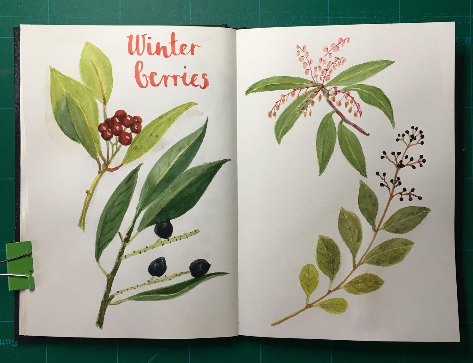 Winter Berries. - image 1 - student project