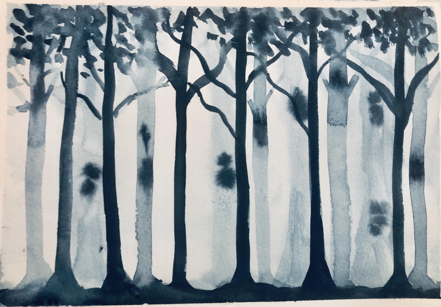 @lalaithbr Misty Forest - image 1 - student project
