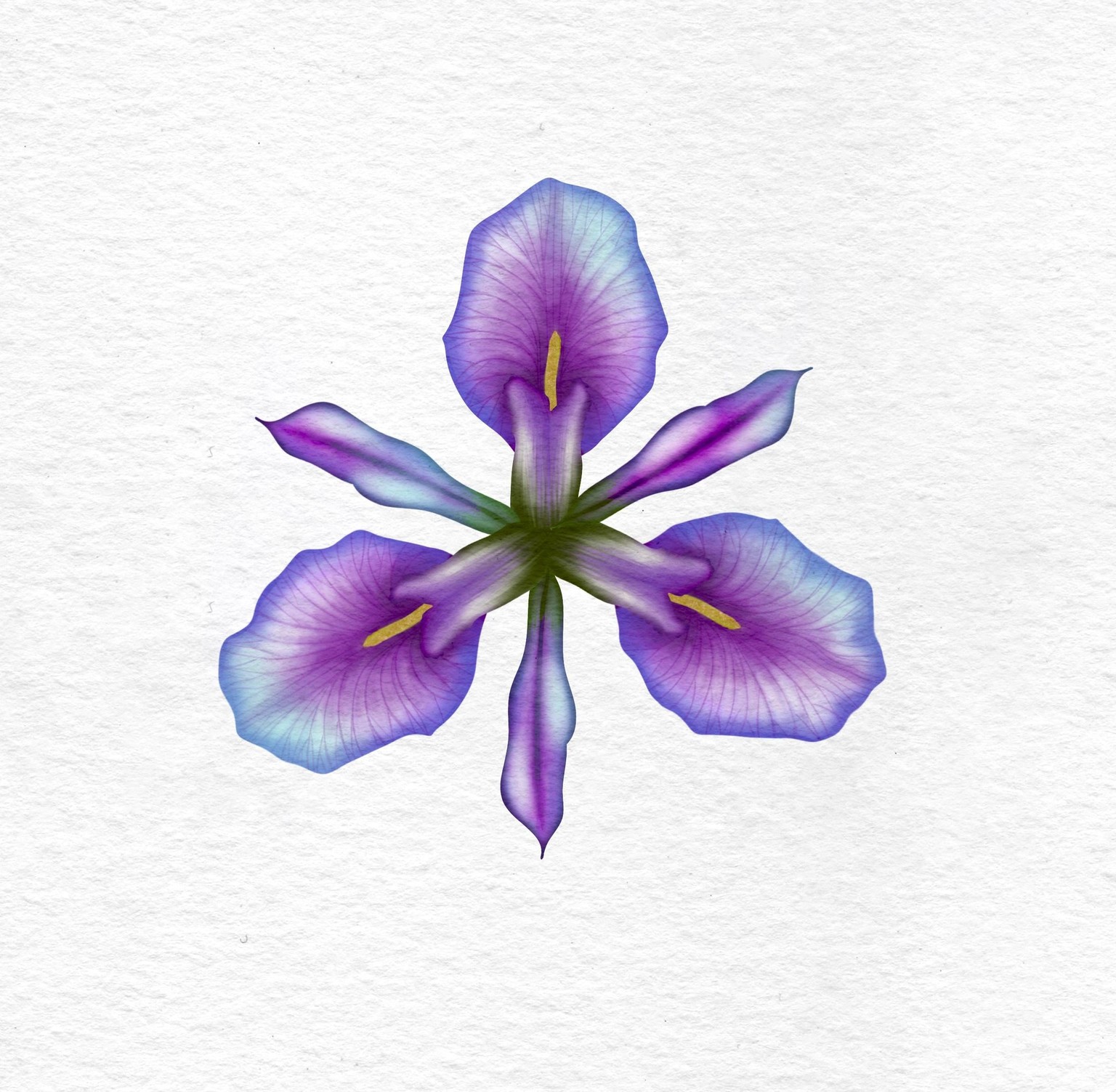 Watercolor Irises - image 1 - student project