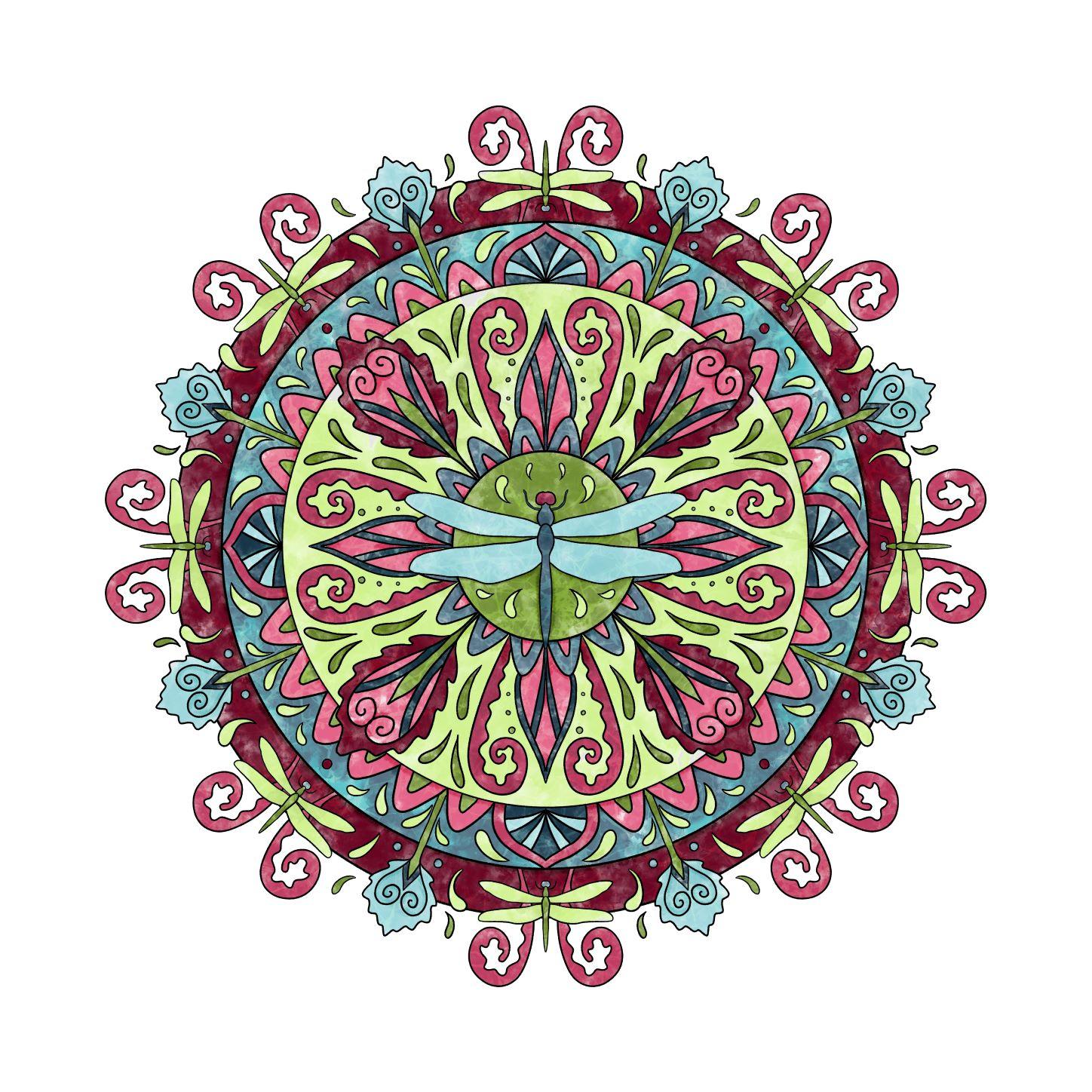 Insect Mandalas - image 2 - student project