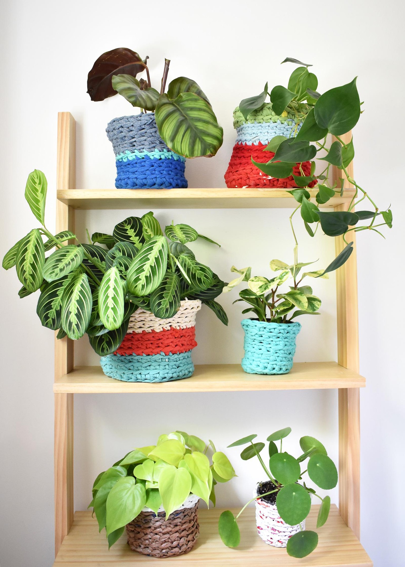 My Plant Pot Covers! - image 1 - student project