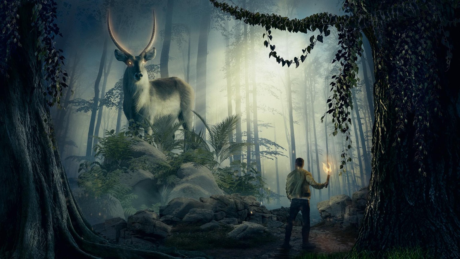 Manipulation Photo - image 1 - student project