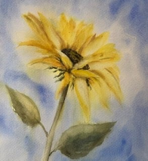 Moira Jones - image 1 - student project