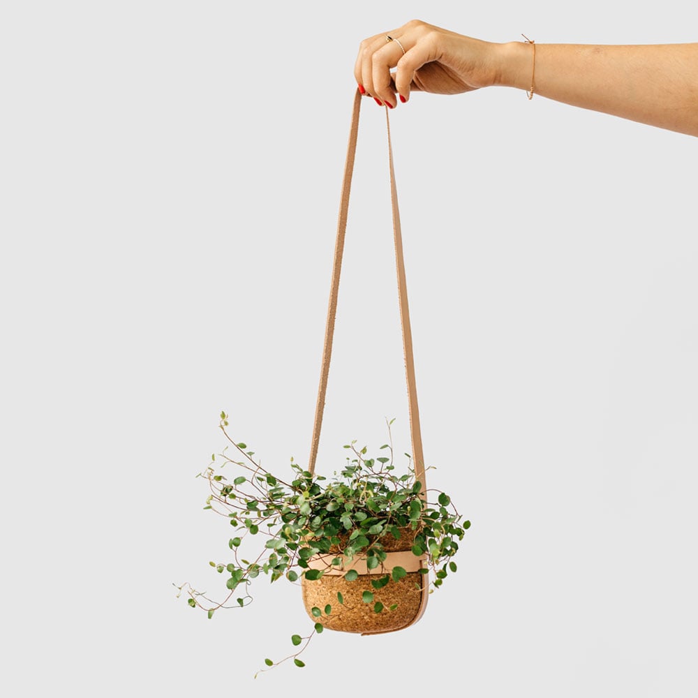 Melanie Abrantes Designs- Hanging Leather Planters - image 4 - student project