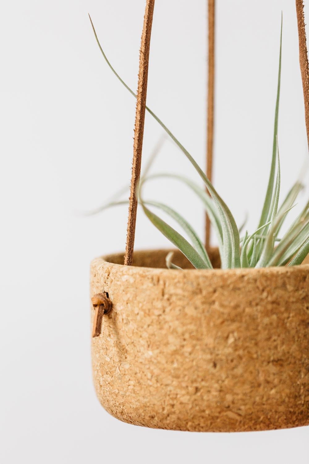 Melanie Abrantes Designs- Hanging Leather Planters - image 2 - student project
