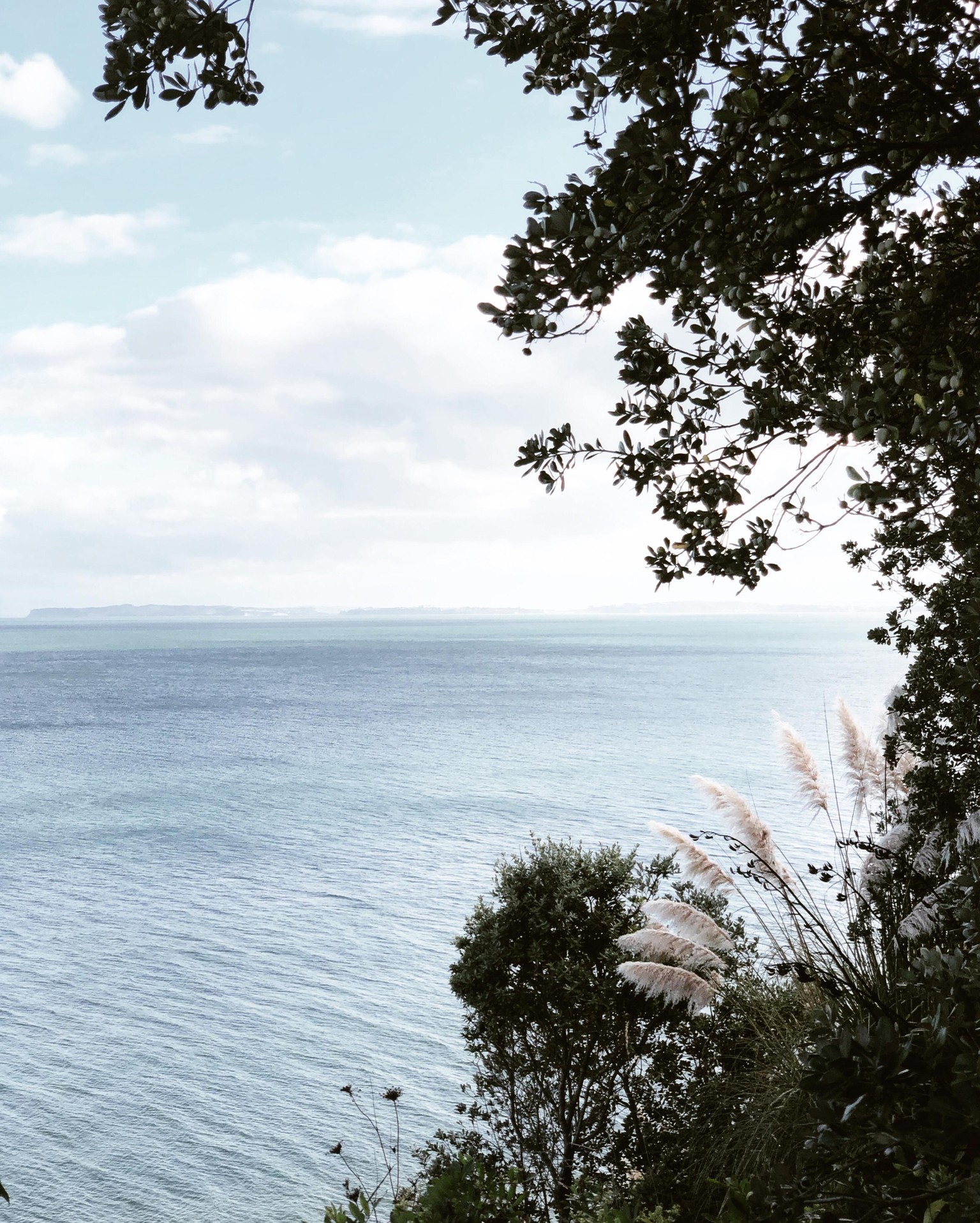 Nature Photography - image 3 - student project