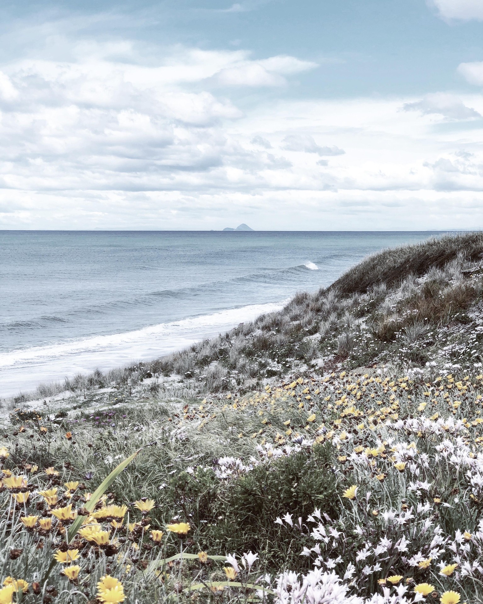 Nature Photography - image 1 - student project