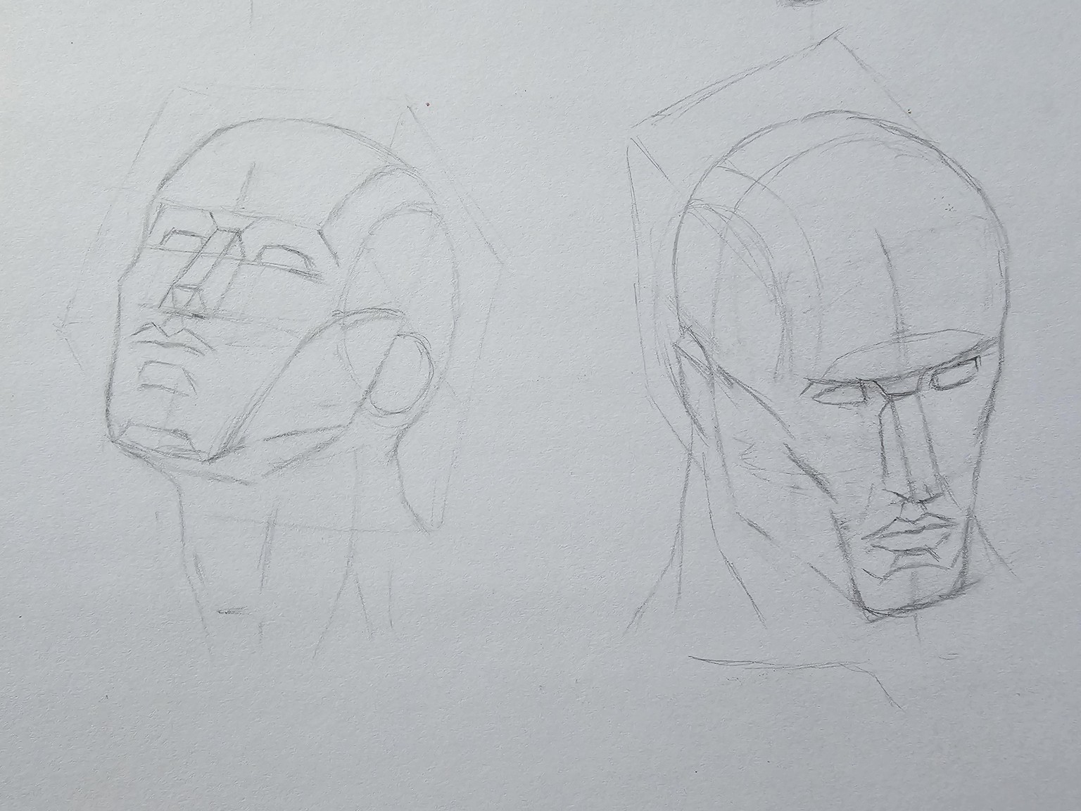 Planes of the head - image 1 - student project