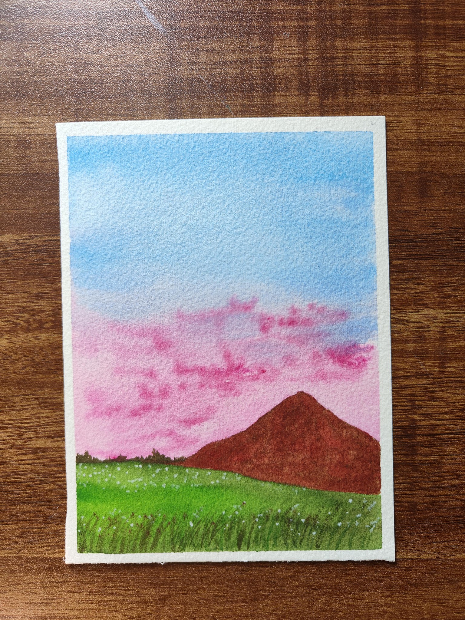 15 days Watercolor challenge - image 1 - student project