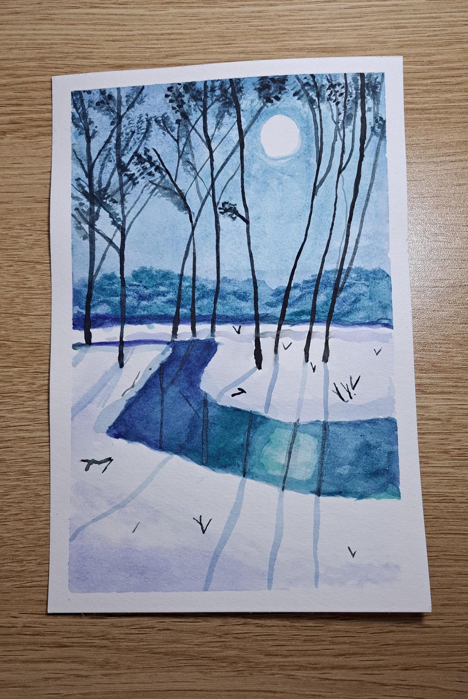 Northern lights and Winter night - image 1 - student project