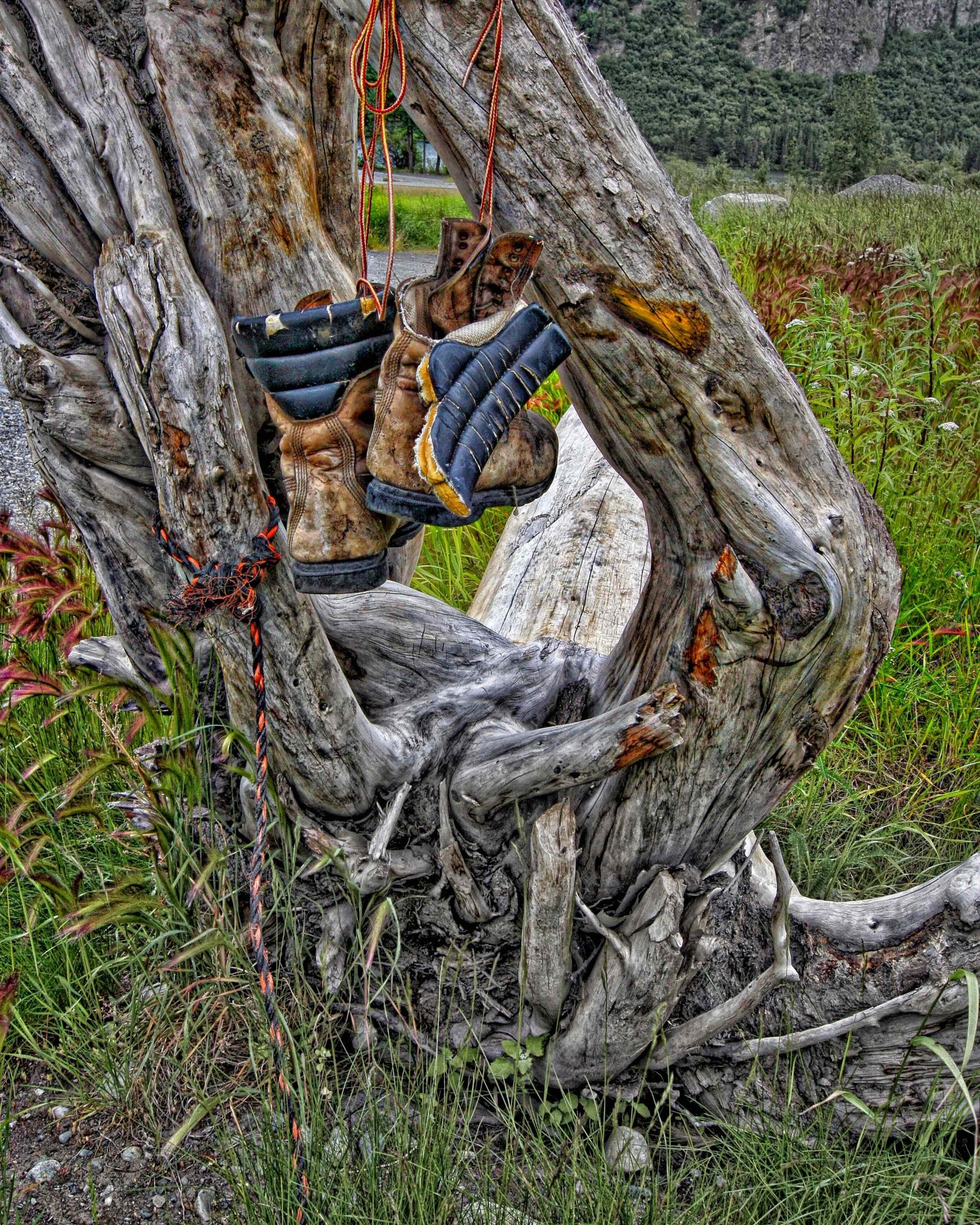 Alaskan Rust - image 1 - student project