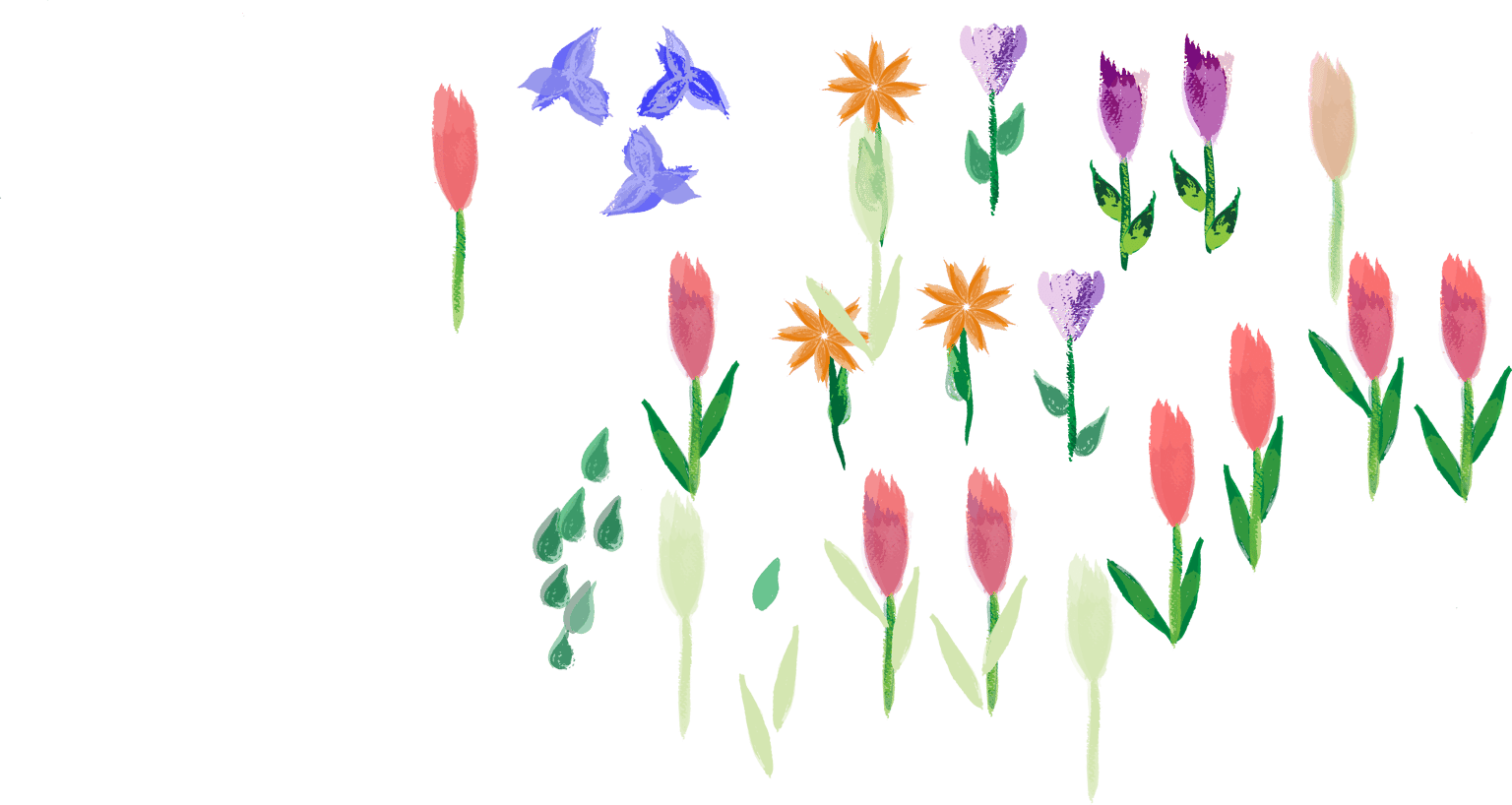 champs de tulipes - image 2 - student project