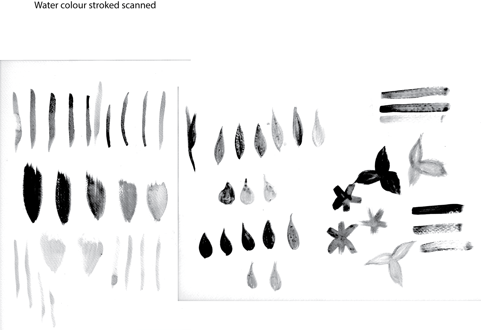 champs de tulipes - image 1 - student project