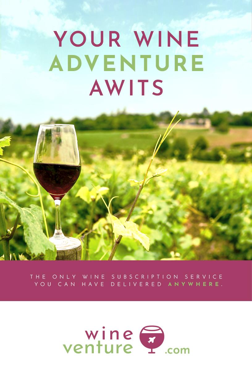 Wine Venture Ads Study - image 3 - student project